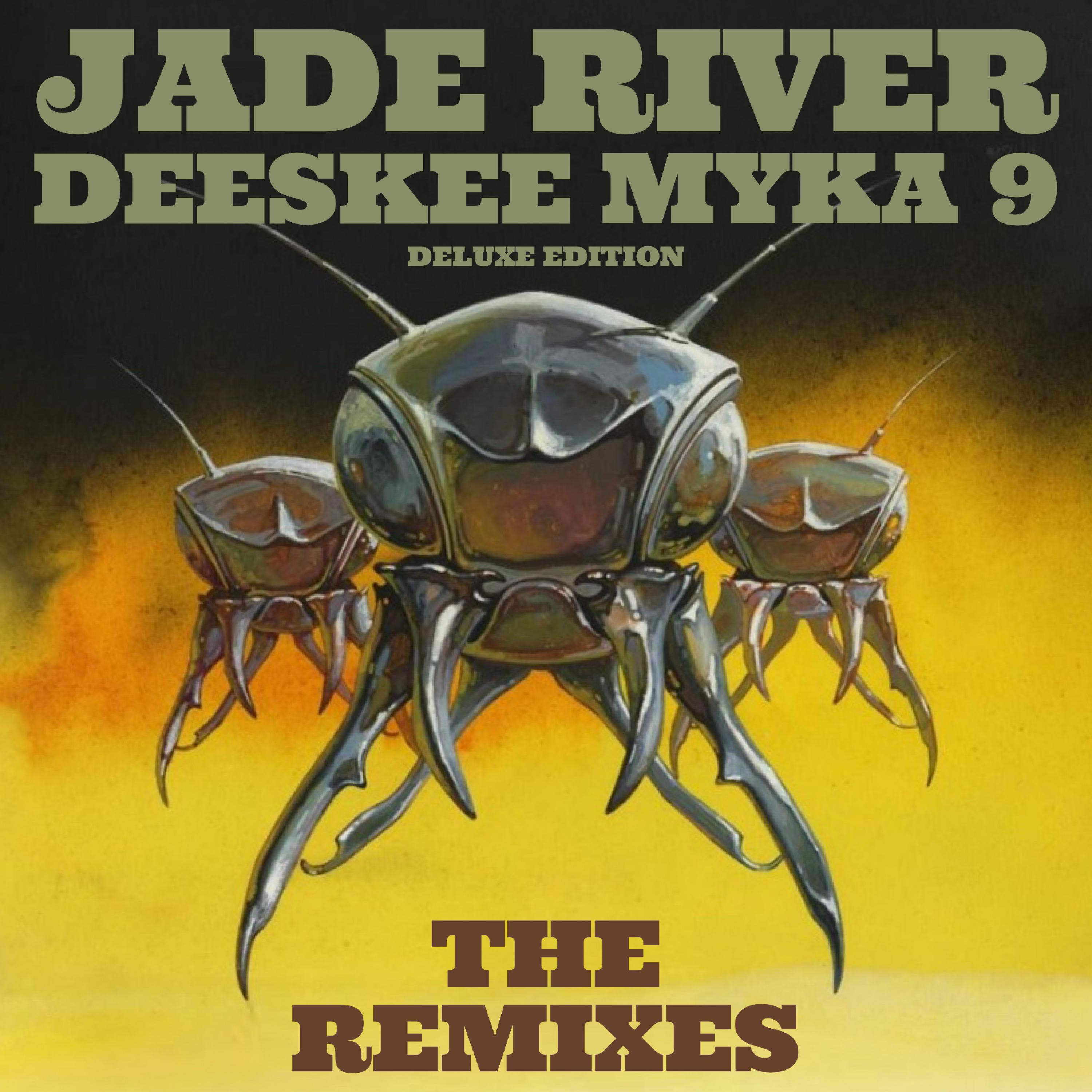 Постер альбома The Remixes (Deluxe Edition)