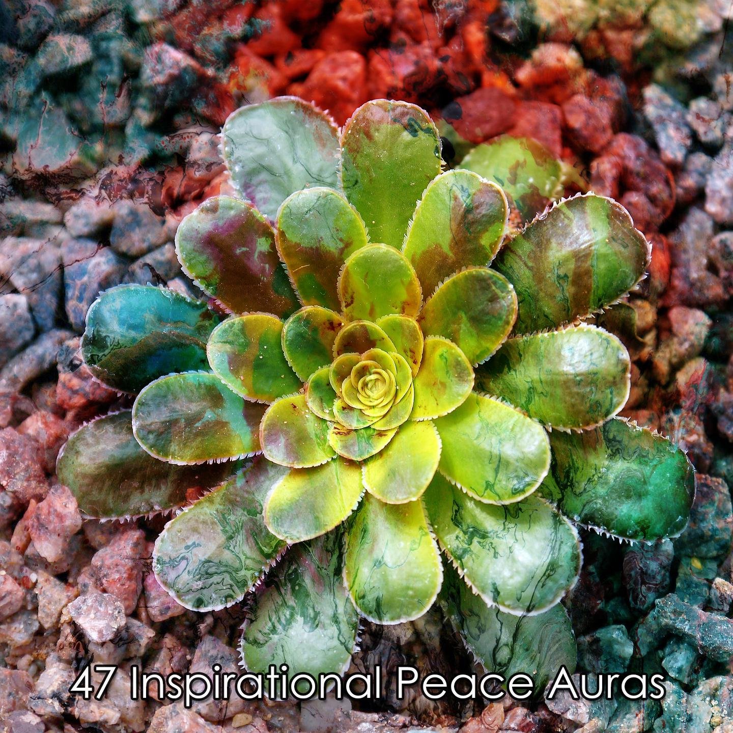 Постер альбома 47 Inspirational Peace Auras