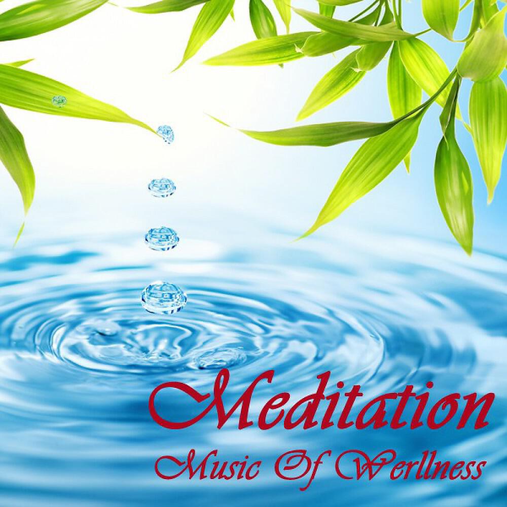 Yoga Tunes - Serenity Through Yoga