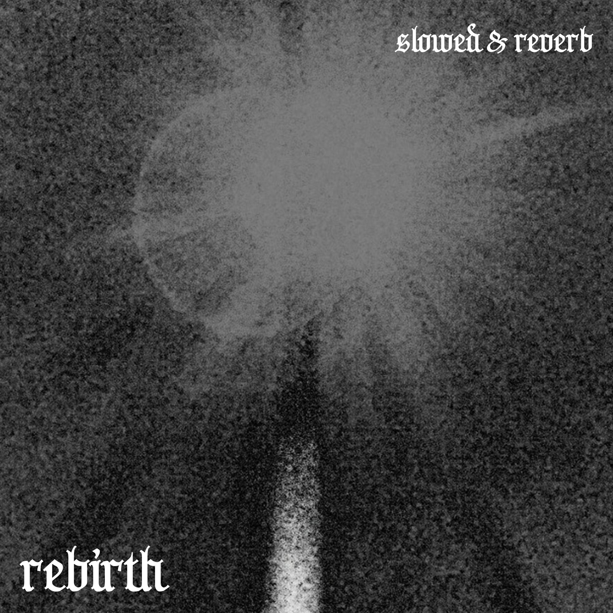 Постер альбома Rebirth (slowed & reverb)