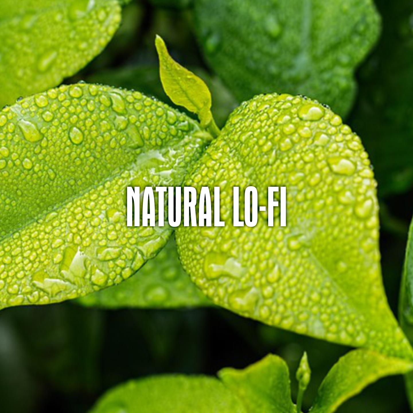 Постер альбома Natural Lo-fi
