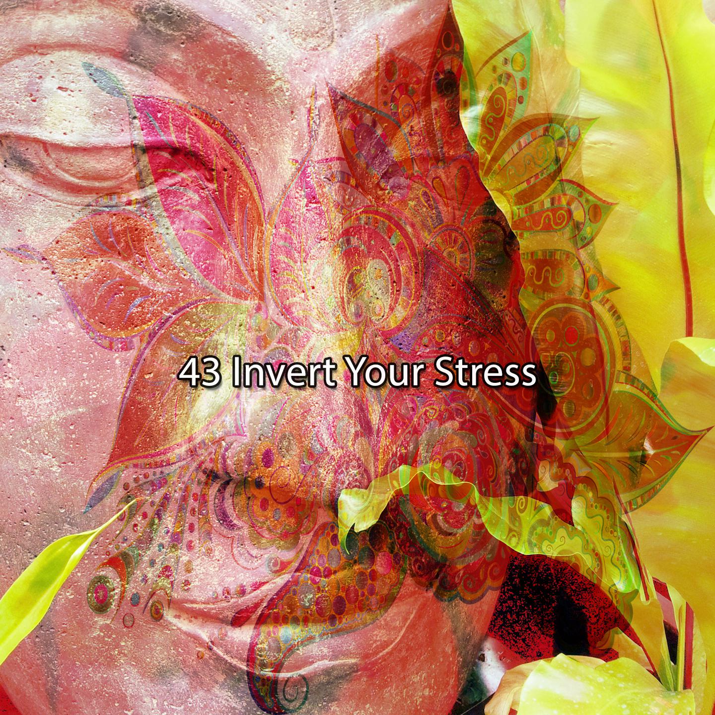 Постер альбома 43 Invert Your Stress