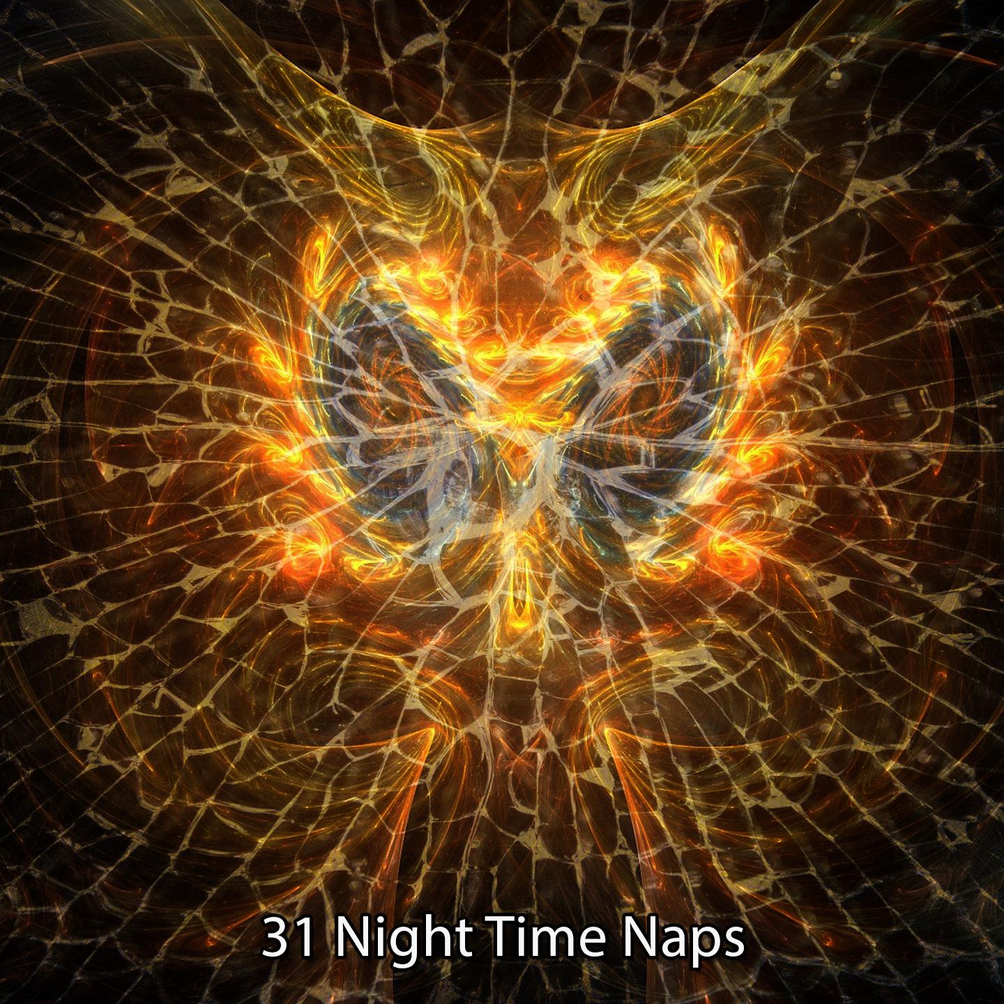 Постер альбома 31 Night Time Naps