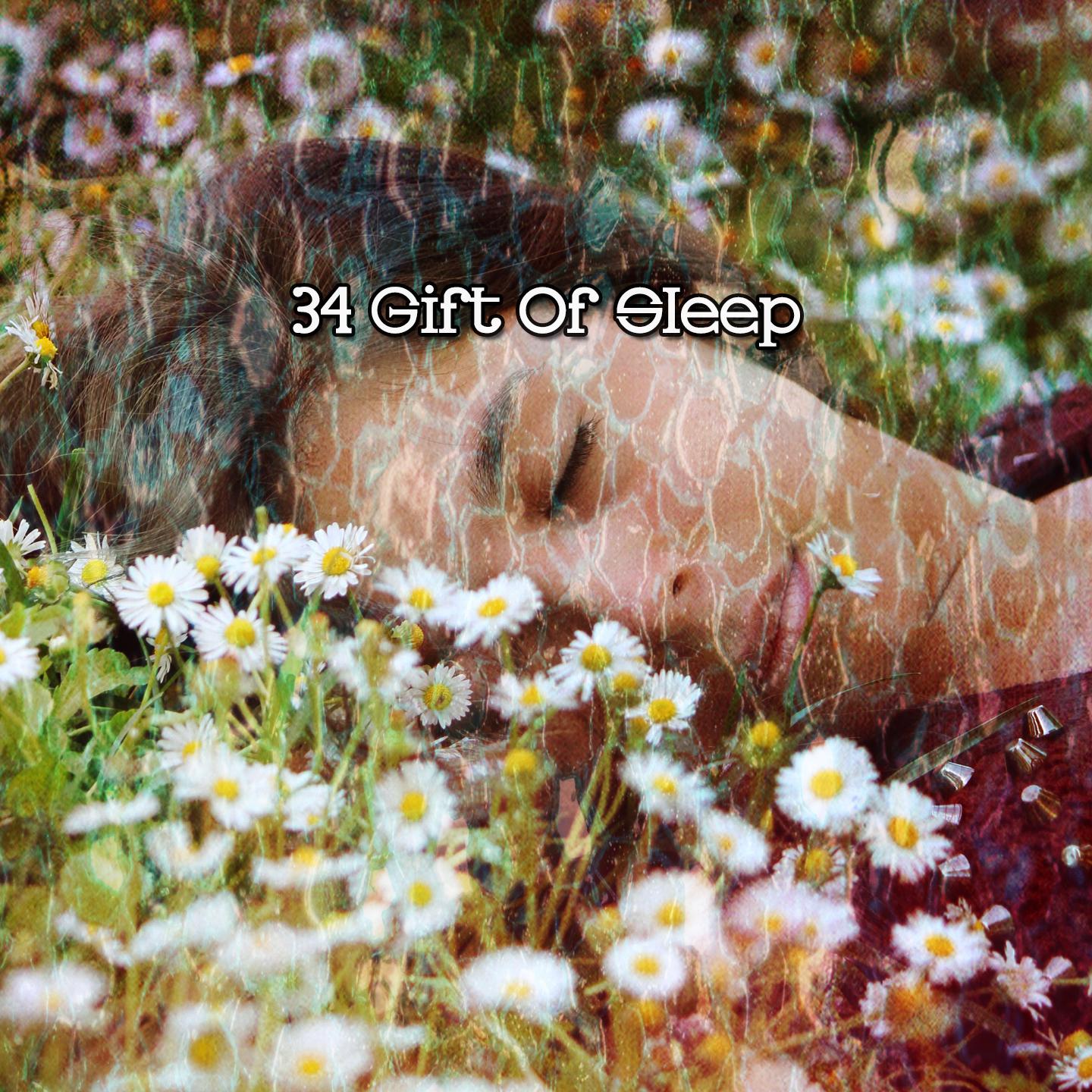 Постер альбома 34 Gift Of Sleep