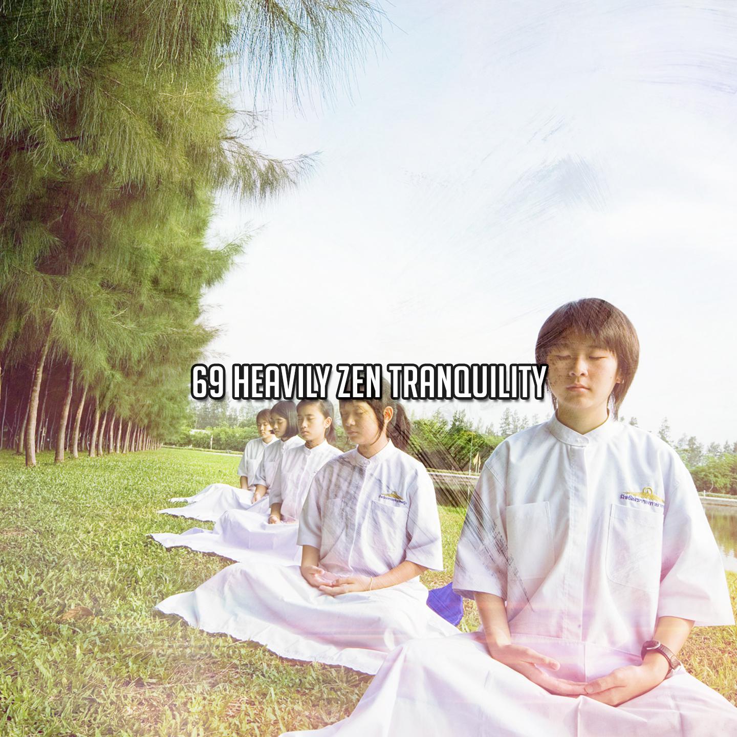 Постер альбома 69 Heavily Zen Tranquility