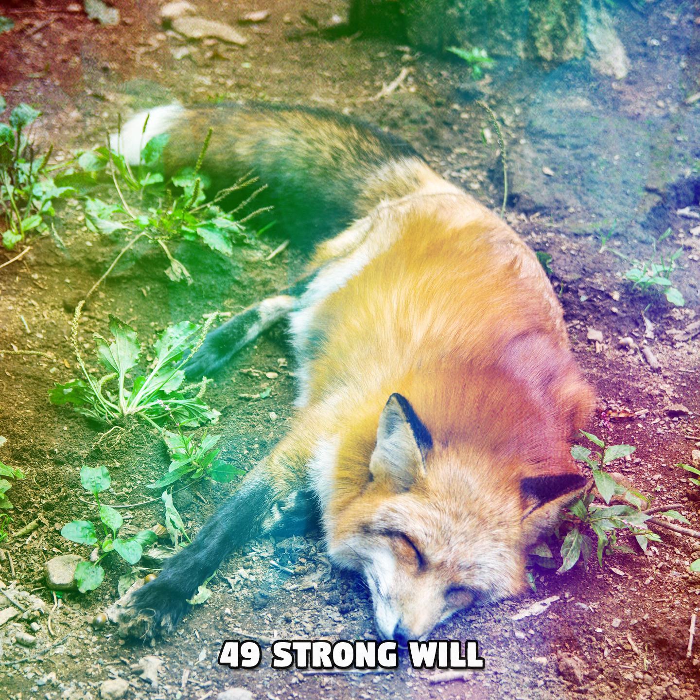 Постер альбома 49 Strong Will