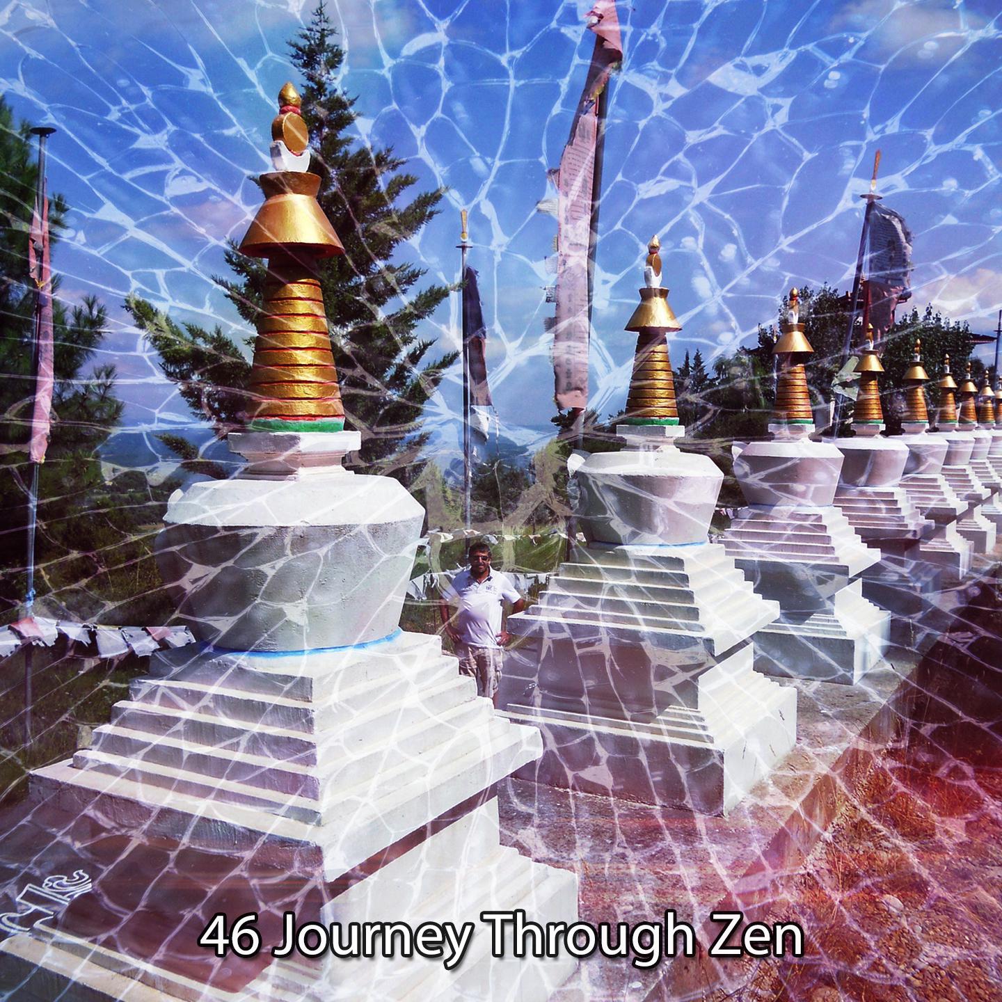Постер альбома 46 Journey Through Zen