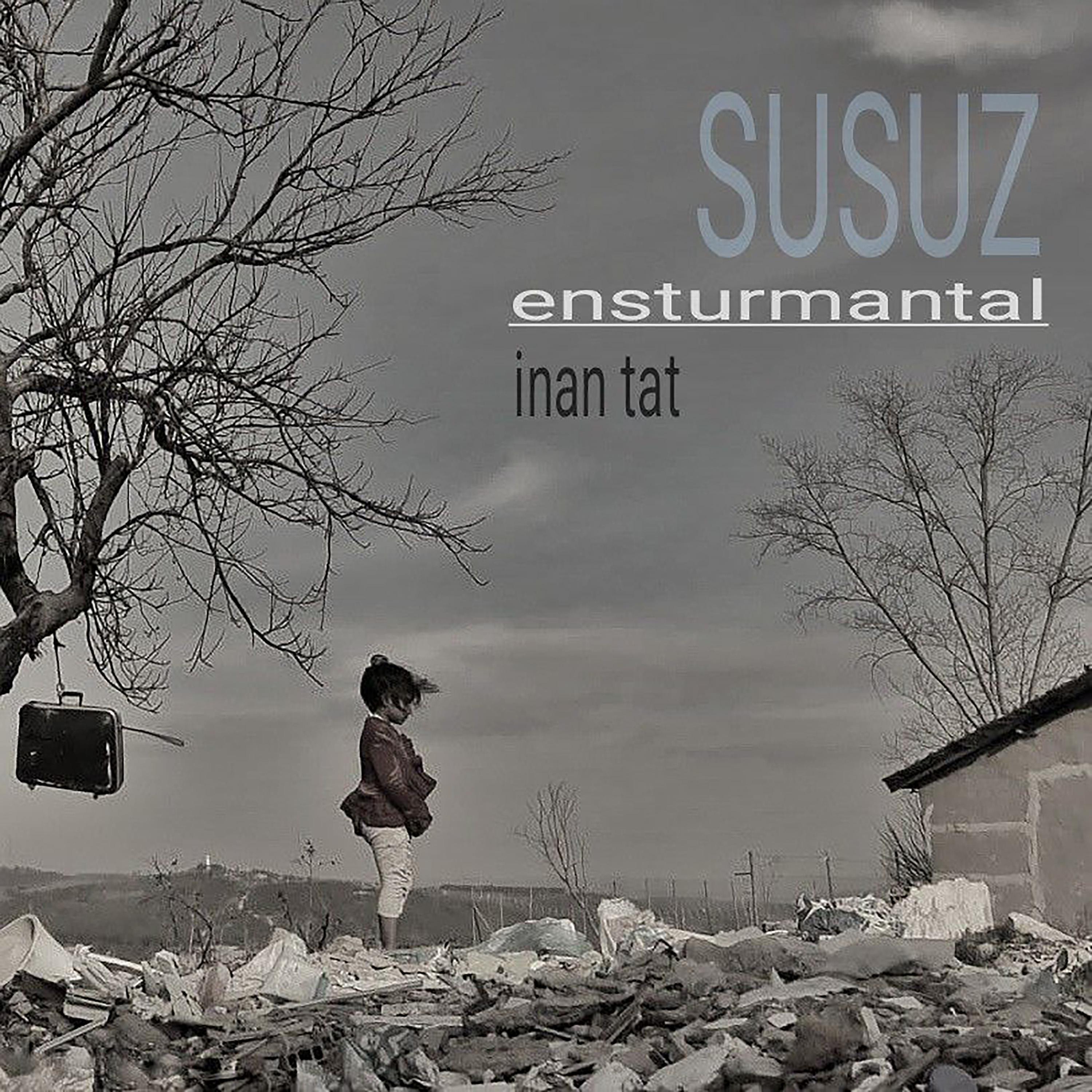 Постер альбома Susuz