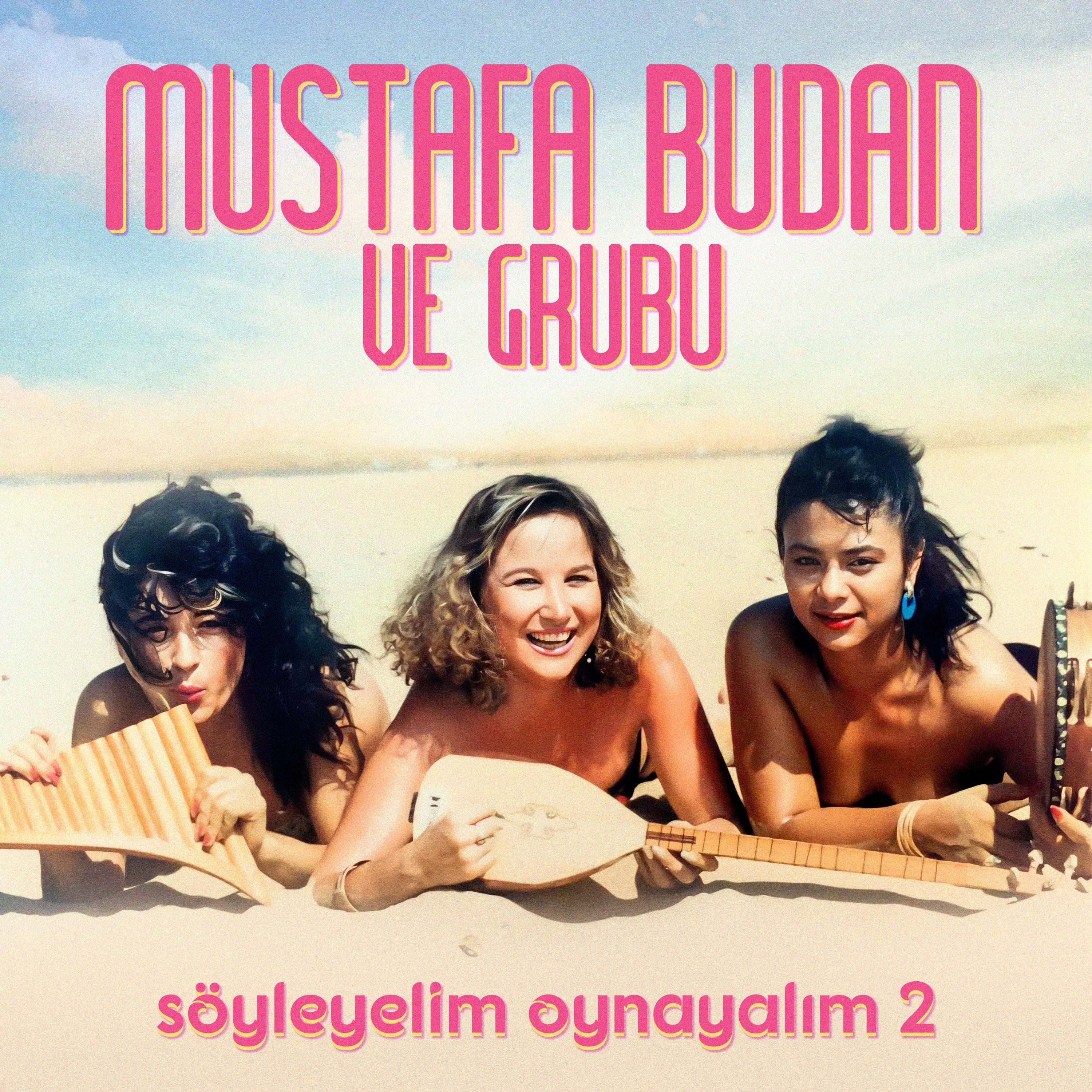 Постер альбома Söyleyelim Oynayalım, Vol. 2