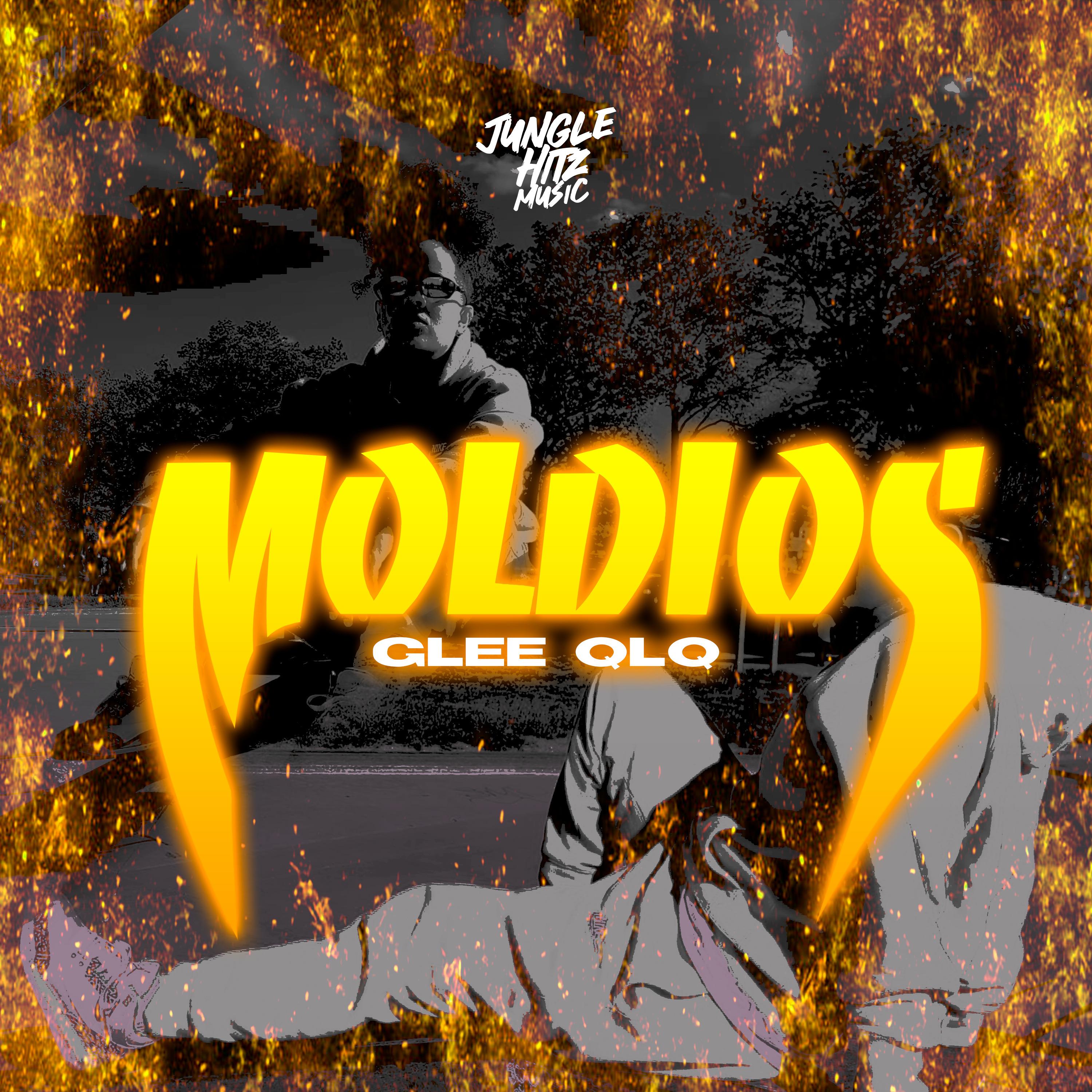 Постер альбома Moldios