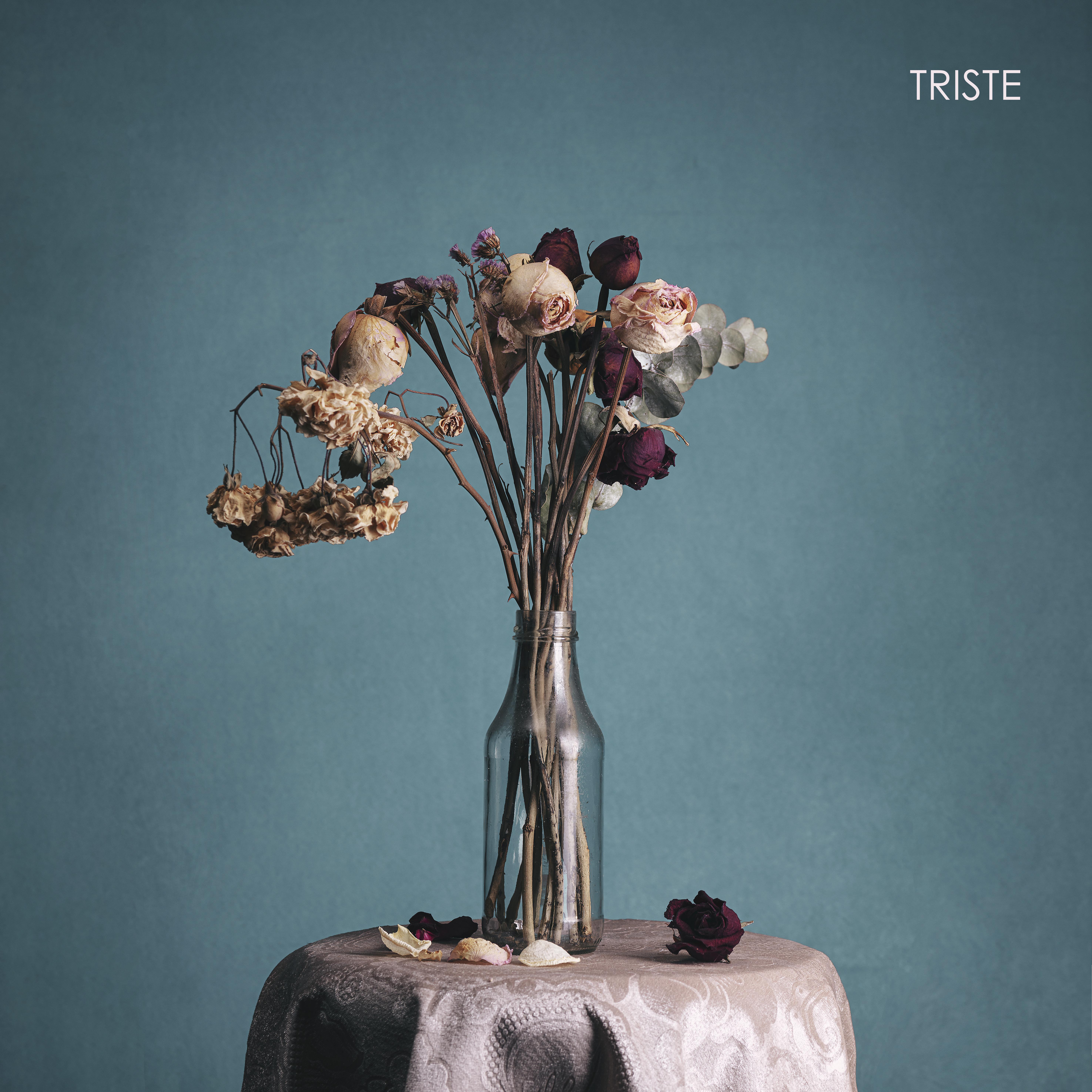 Постер альбома Triste