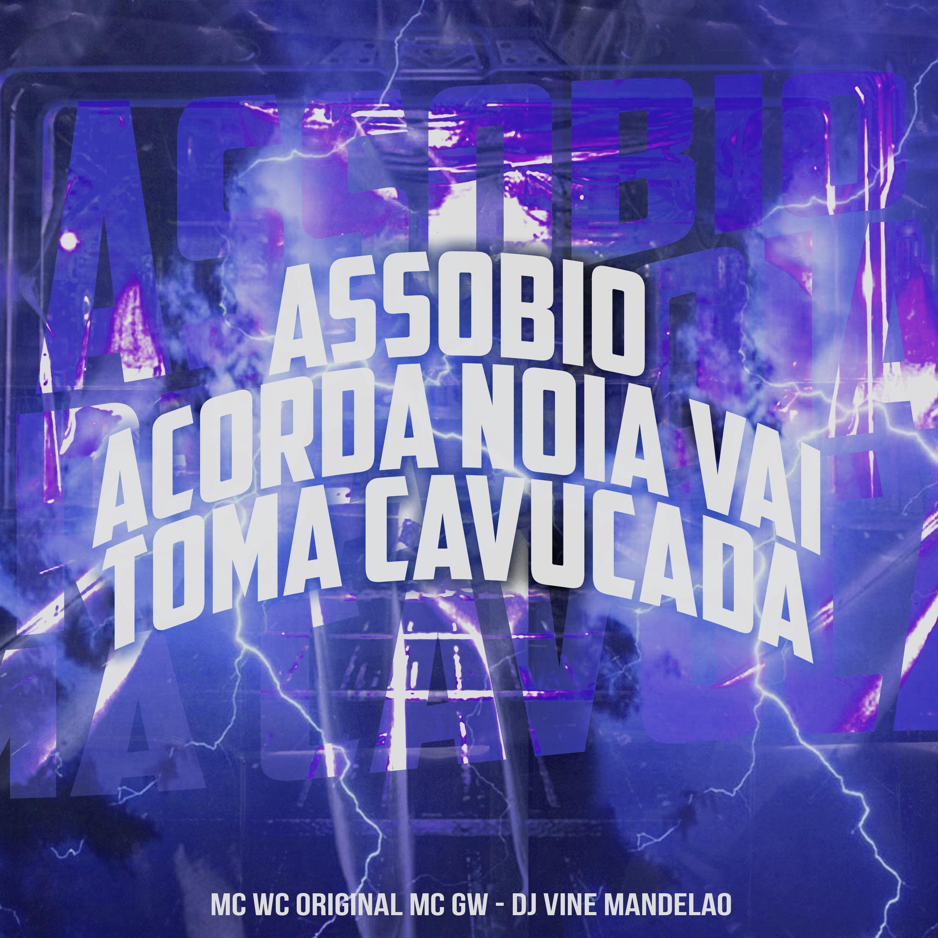 Постер альбома Assobio Acorda Noia - Vai Toma Cavucada