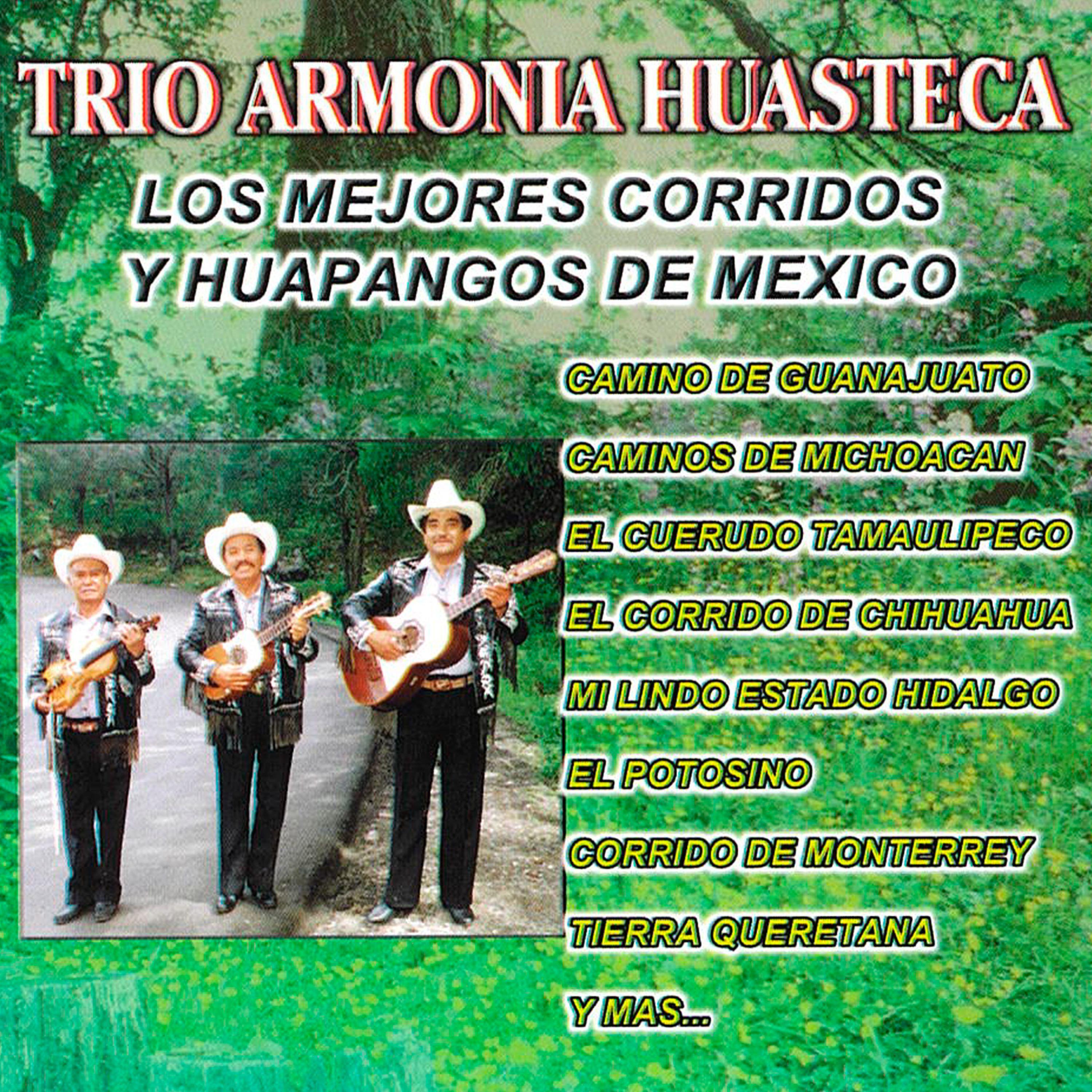 Постер альбома Los Mejores Corridos y Huapangos de Mexico
