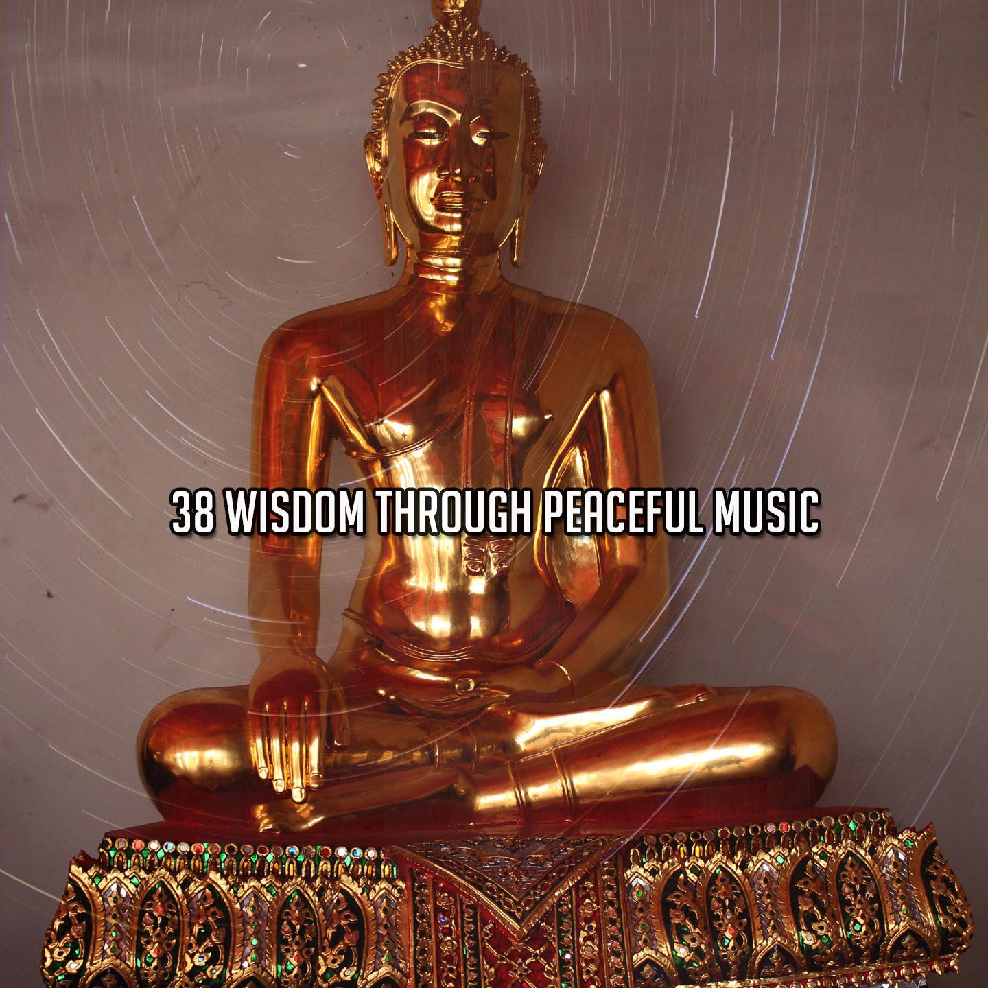 Постер альбома 38 Wisdom Through Peaceful Music