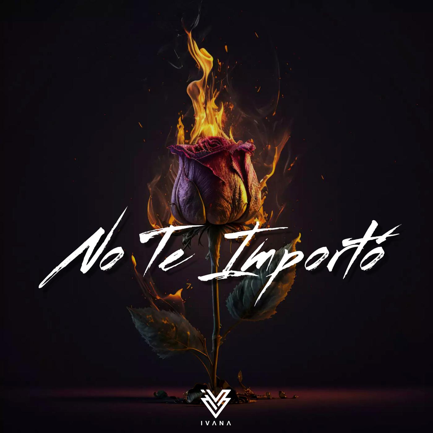 Постер альбома No Te Importó