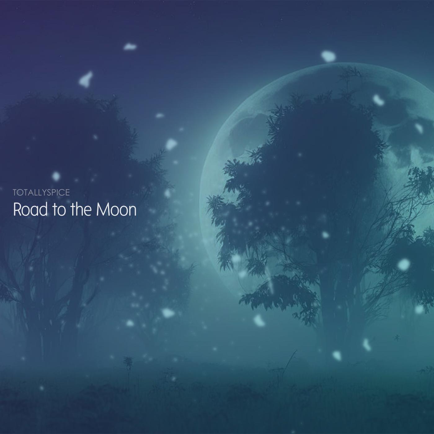 Постер альбома Road to the Moon