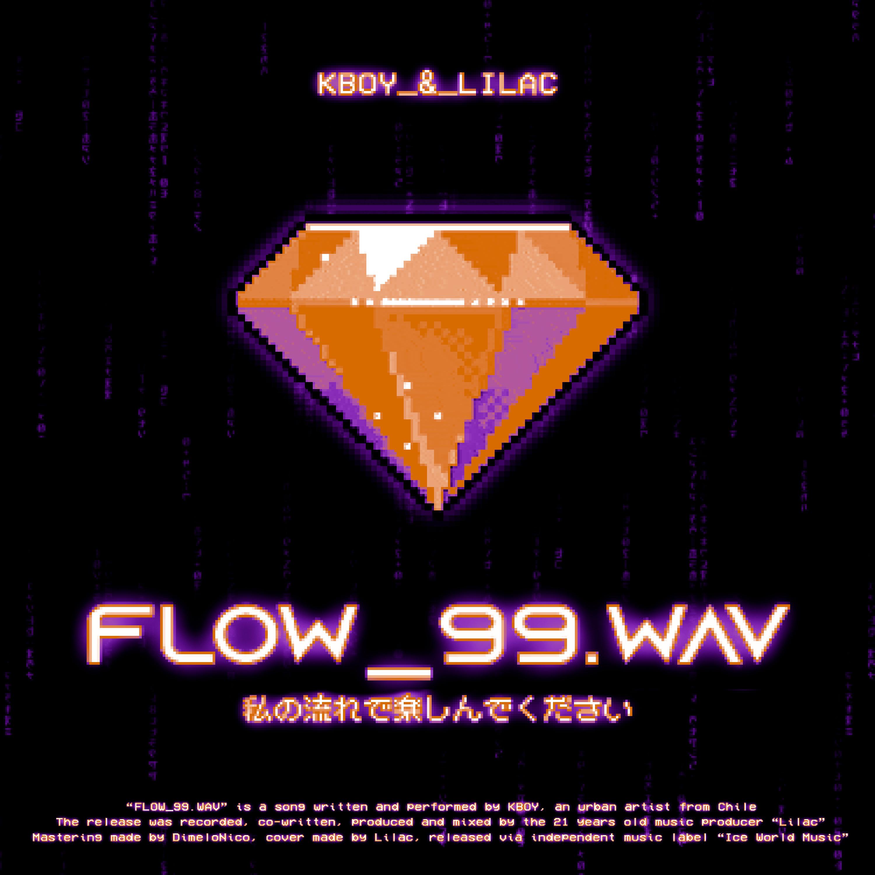 Постер альбома Flow_99.Wav