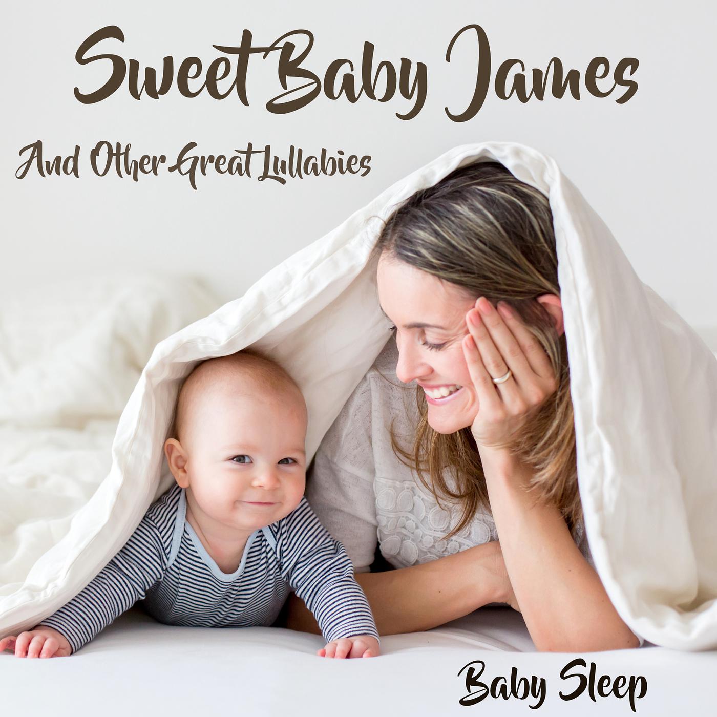 Постер альбома Sweet Baby James ~ (And Other Great Lullabies)