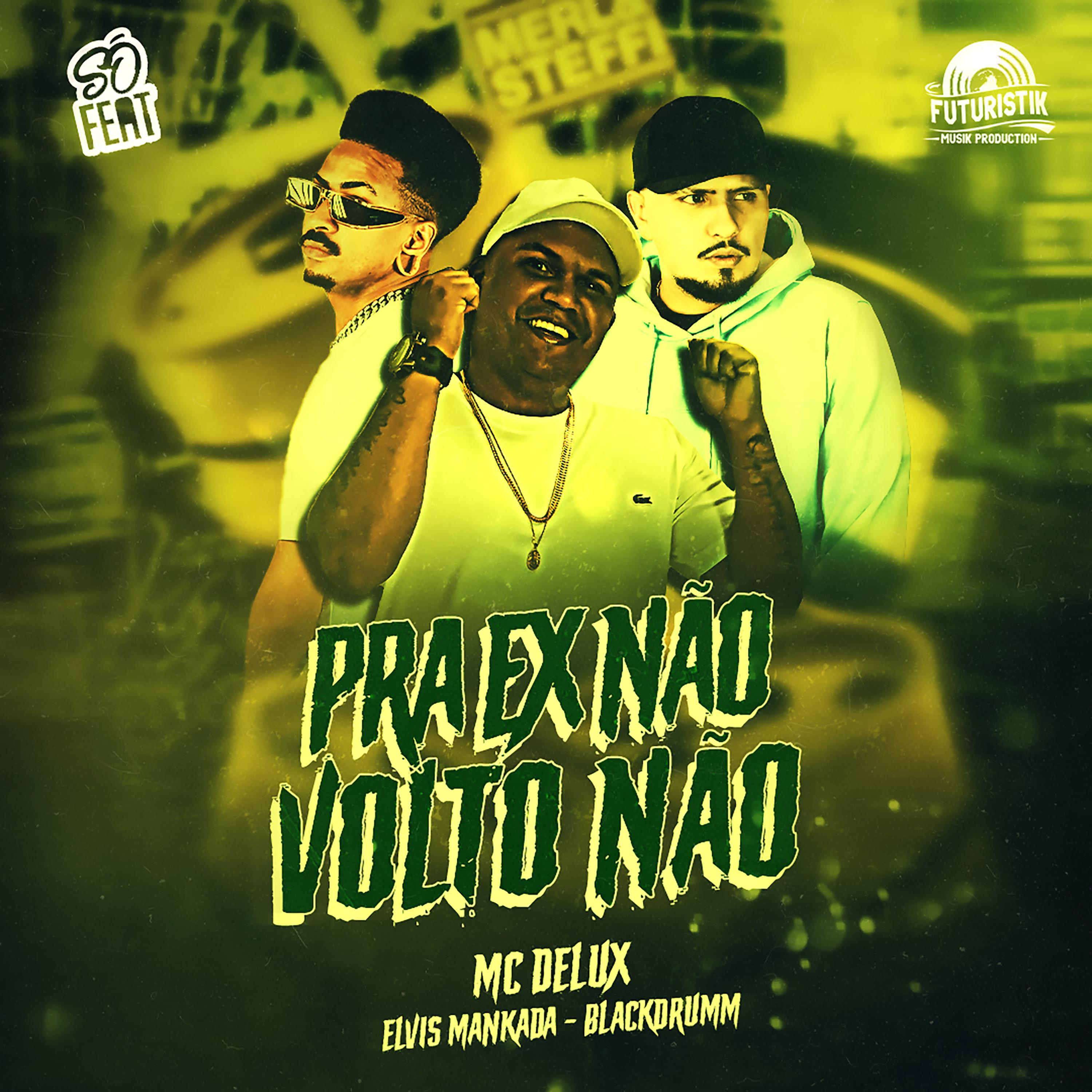 Постер альбома Pra Ex Não Volto Não