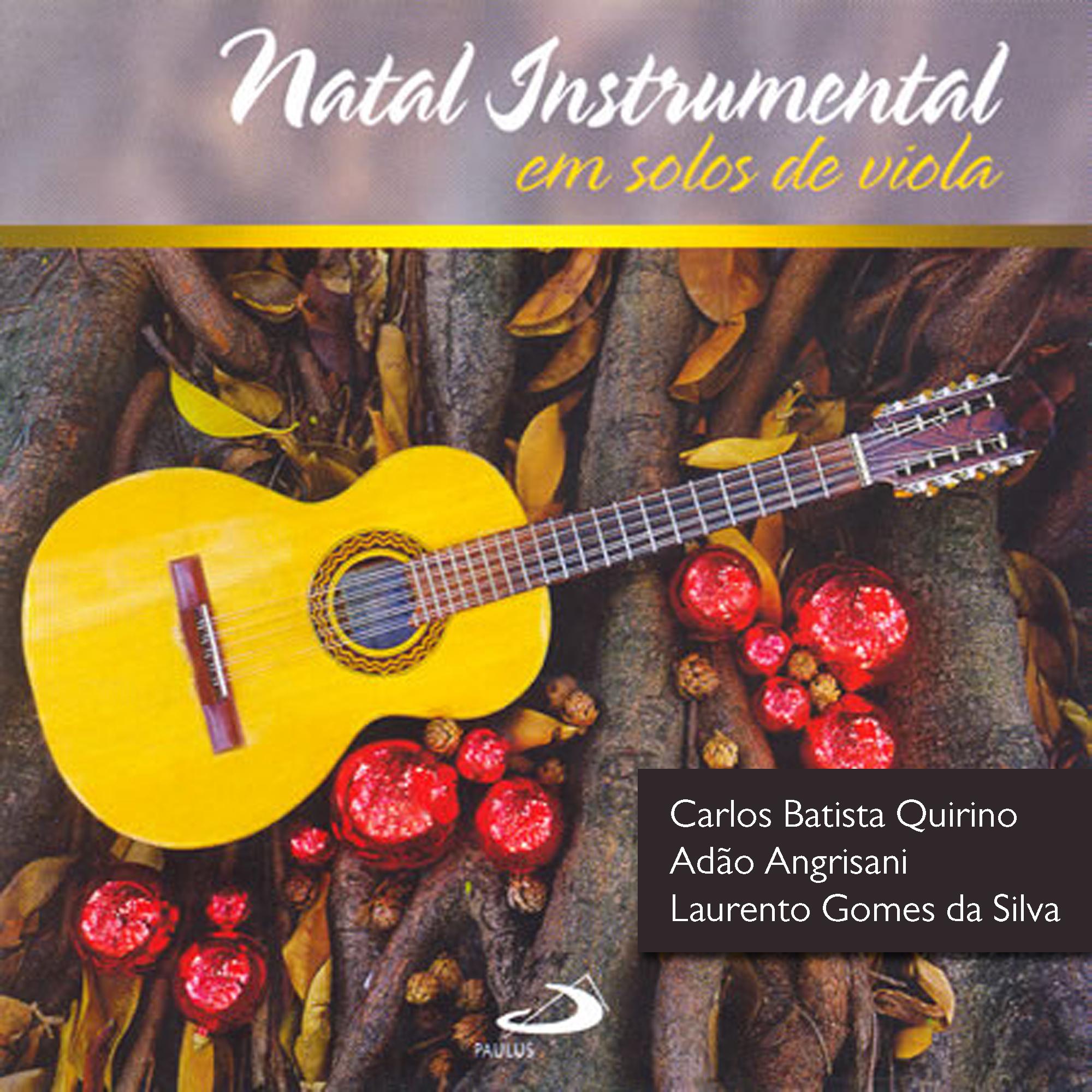 Постер альбома Natal Instrumental em solos de viola