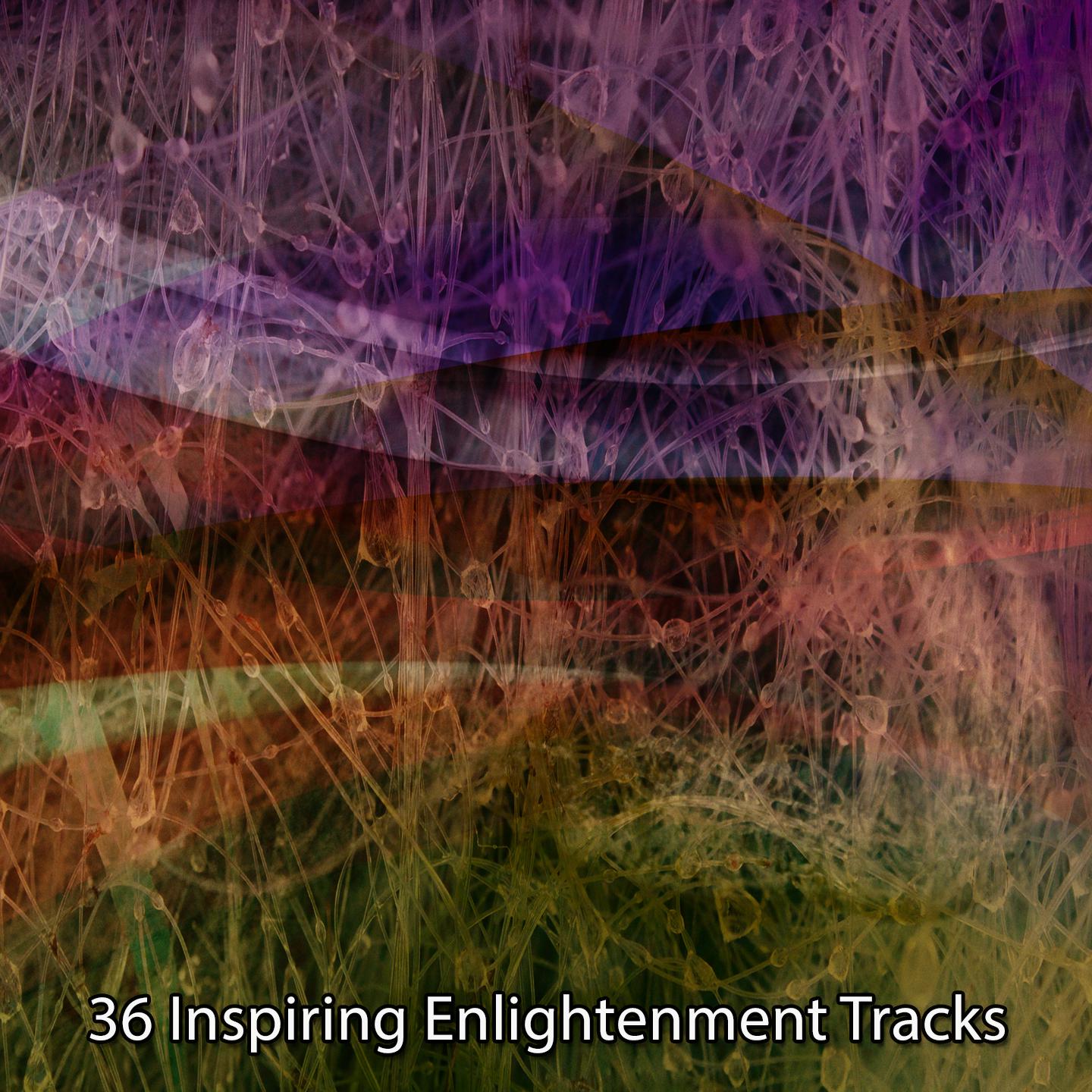 Постер альбома 36 Inspiring Enlightenment Tracks