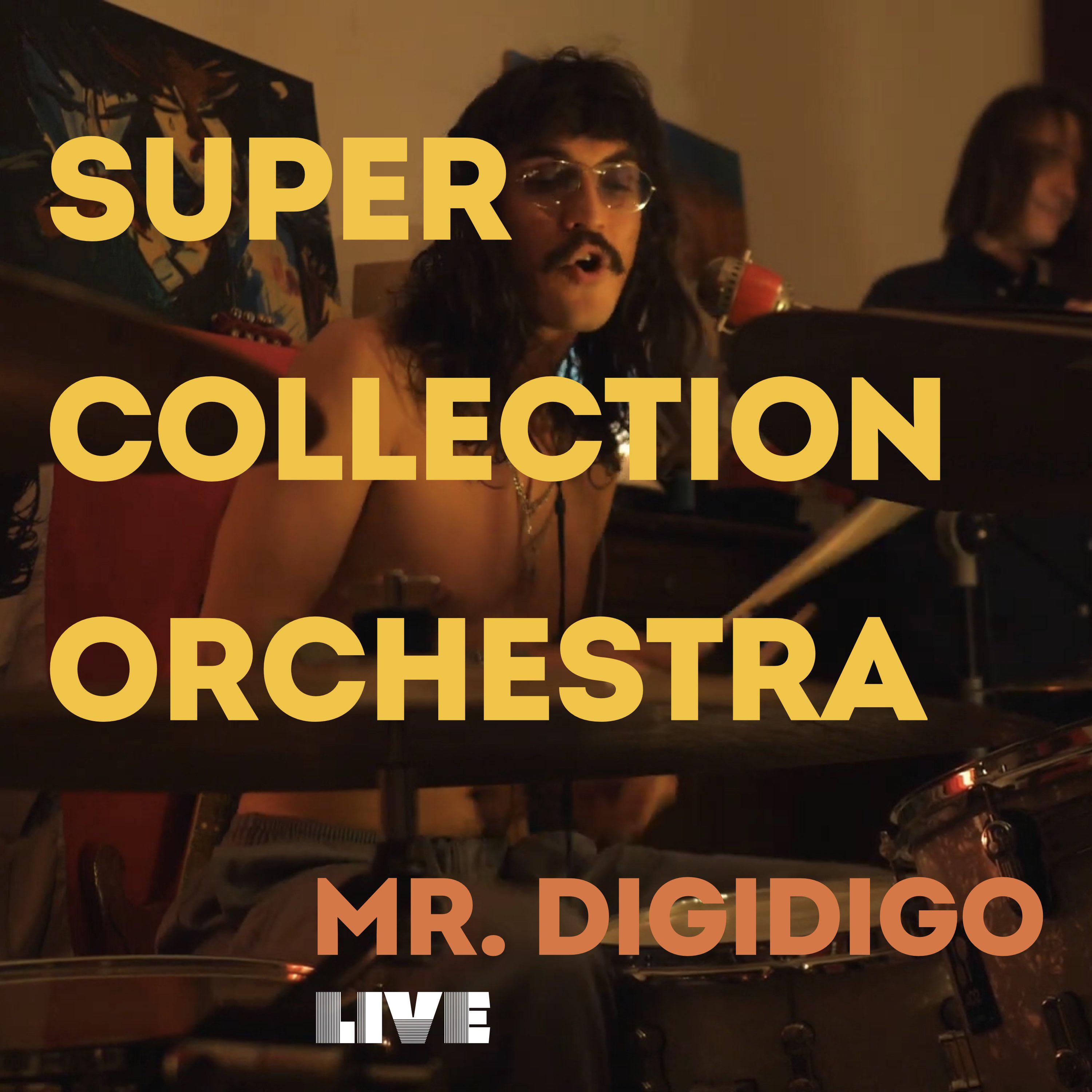 Постер альбома Mr. Digidigo