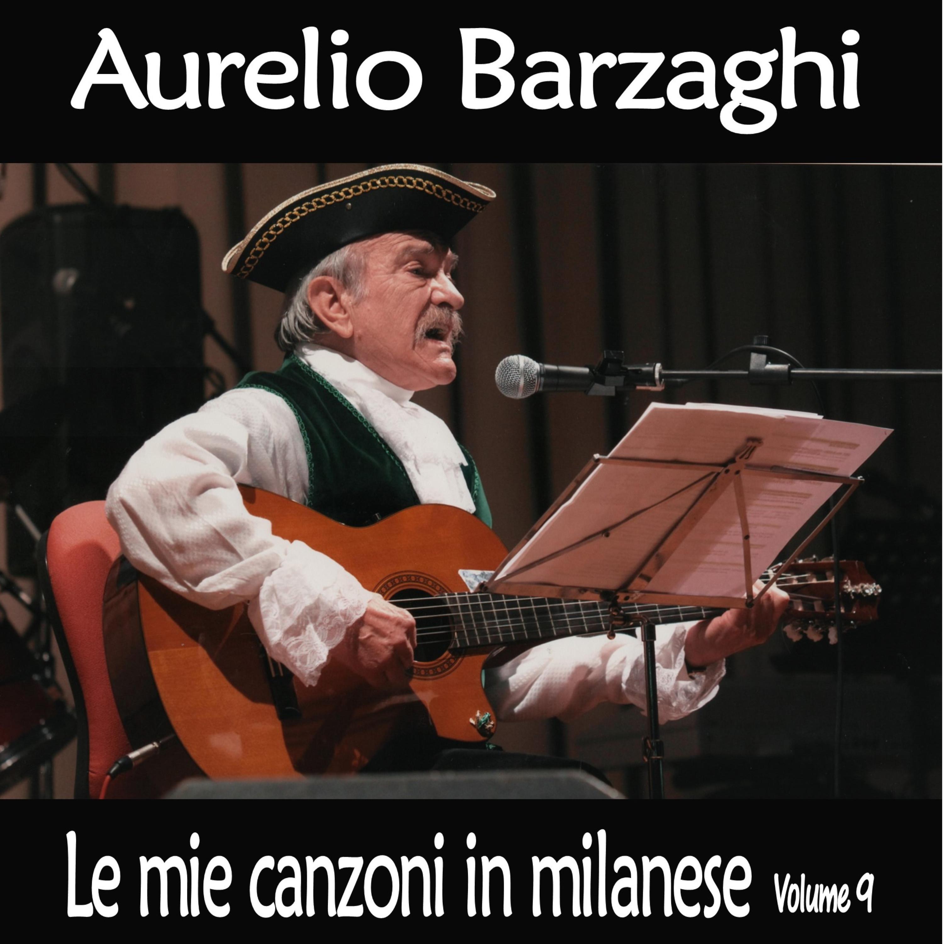 Постер альбома Le mie canzoni in milanese, Vol. 9
