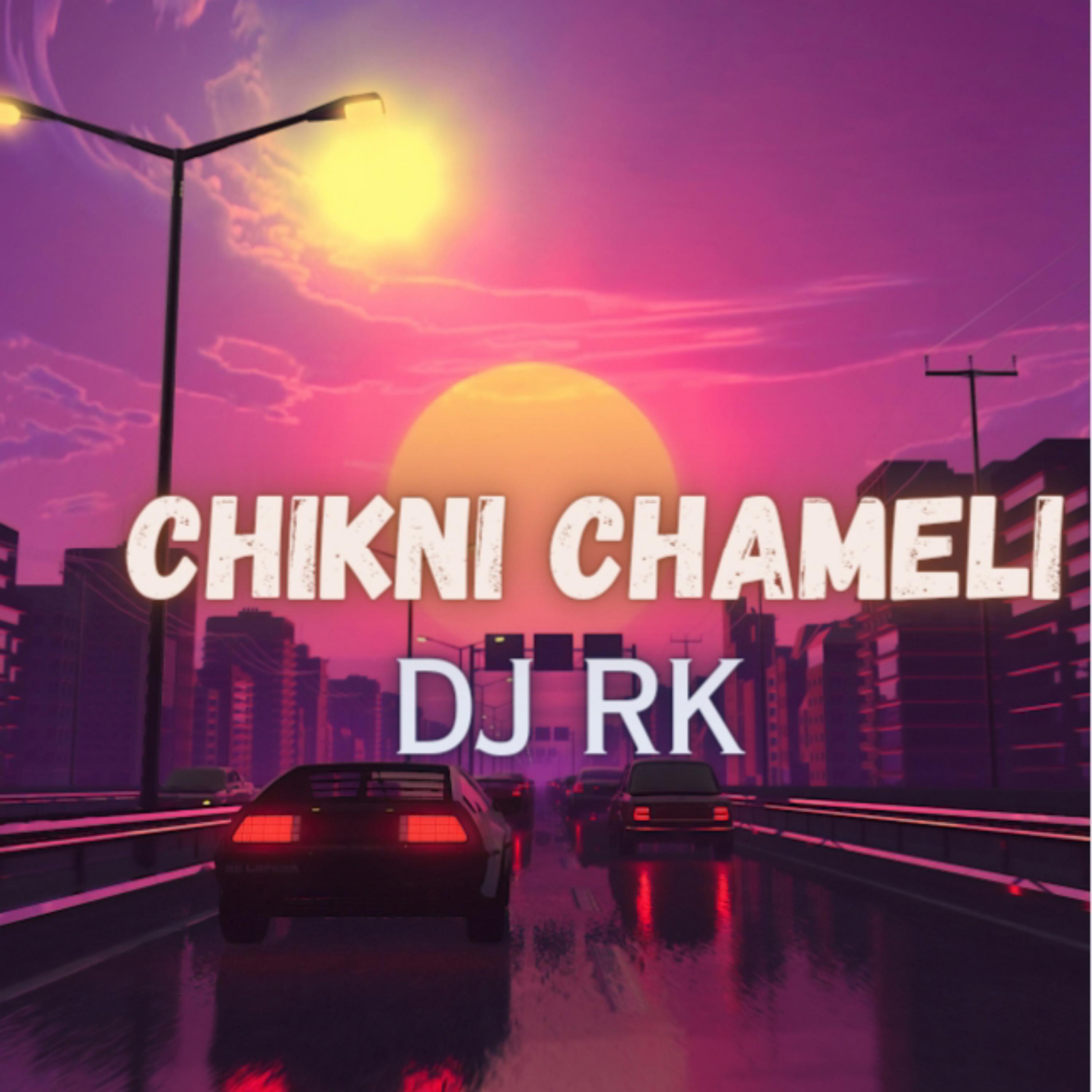 Постер альбома Chikni Chameli