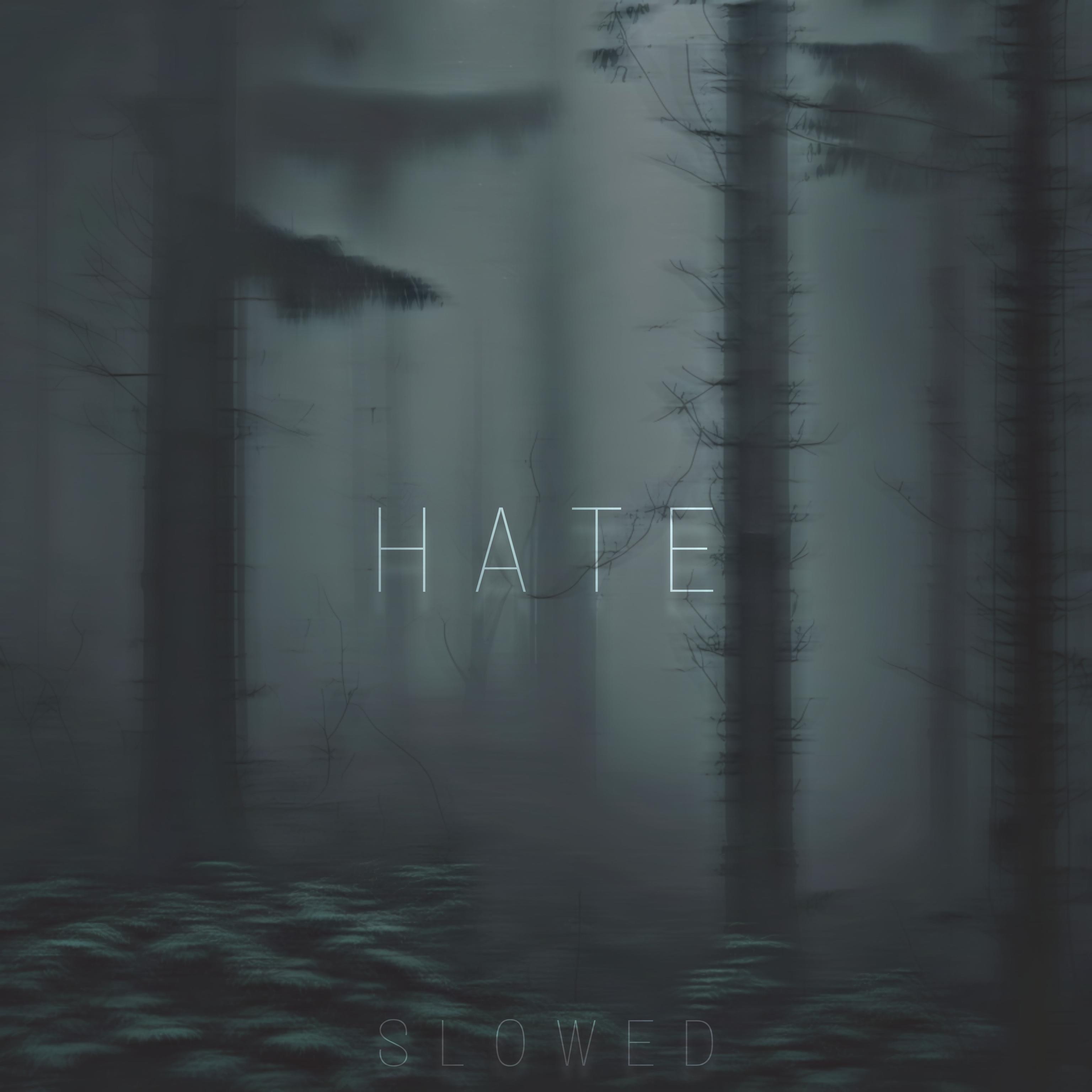Постер альбома Hate (Slowed)