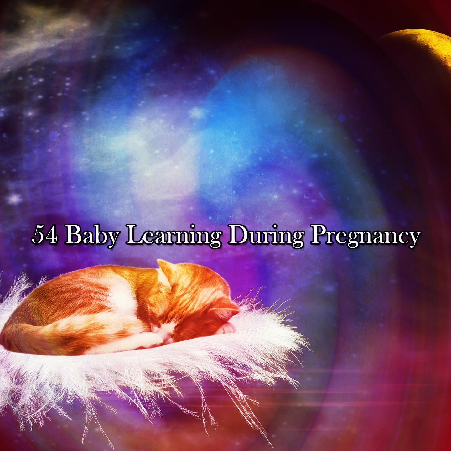 Постер альбома 54 Baby Learning During Pregnancy