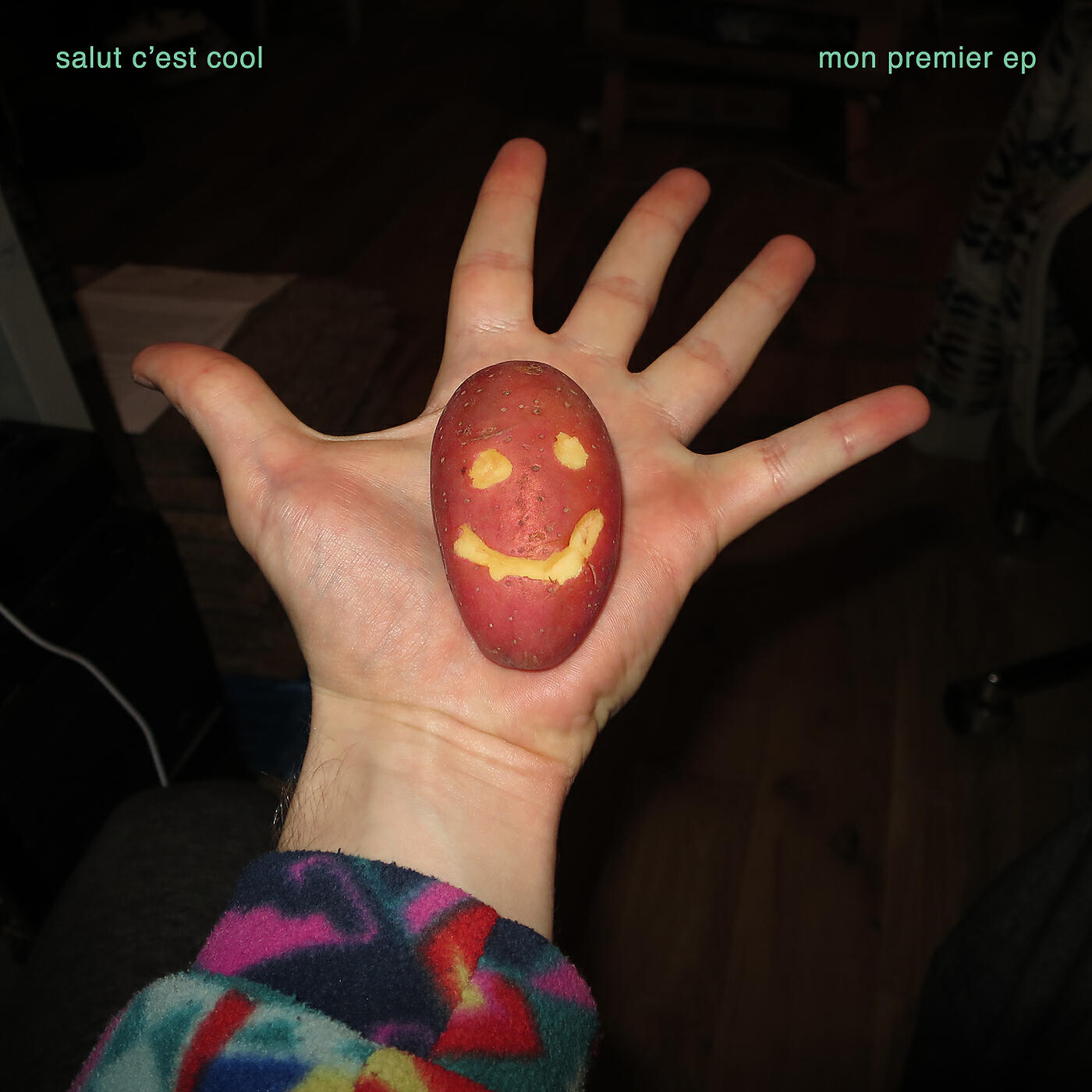 Salut C'est Cool - Toujours pizza (Flavien Berger Remix)