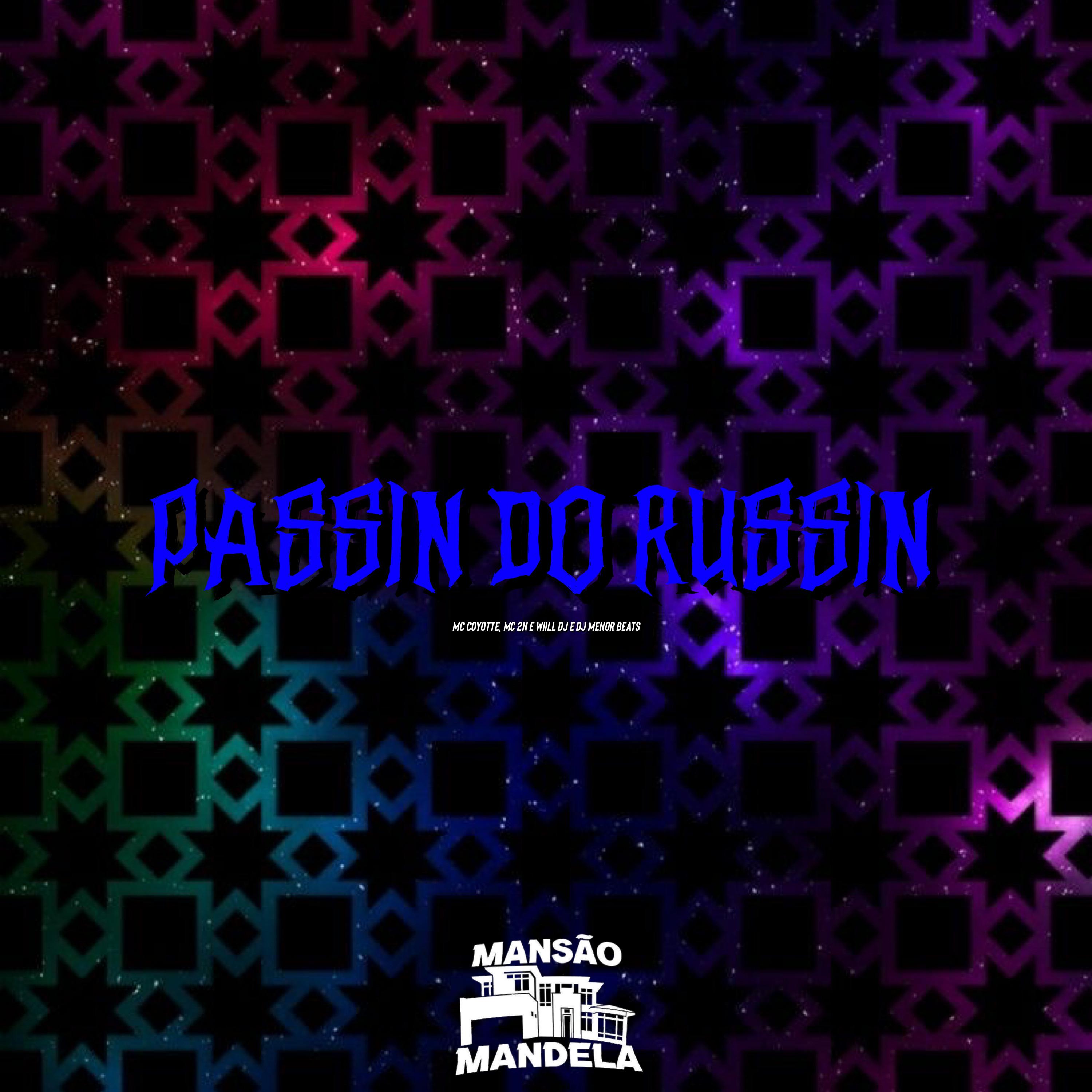 Постер альбома Passin do Russin