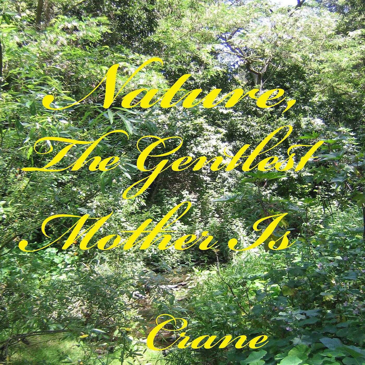 Постер альбома Nature, the Gentlest Mother Is