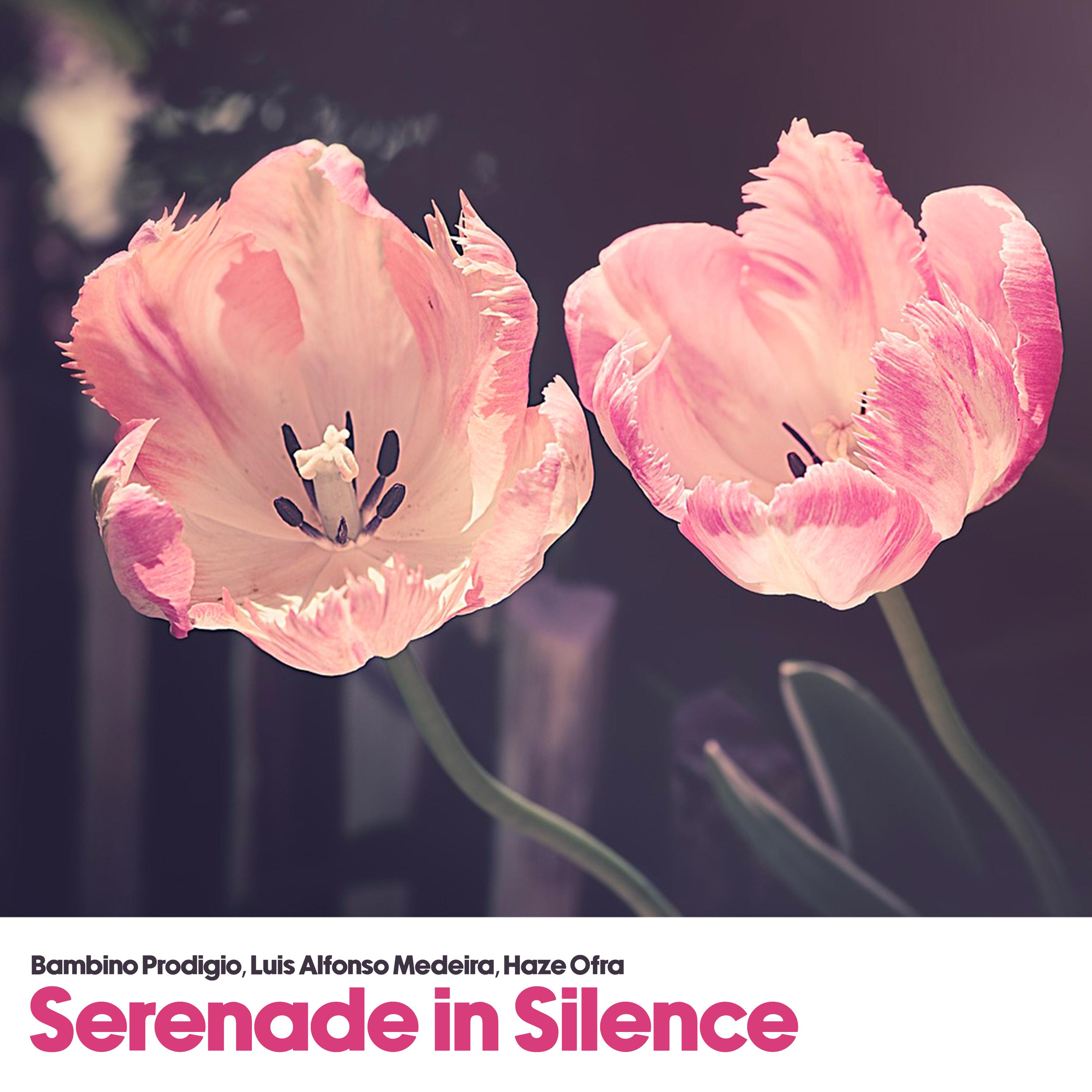 Постер альбома Serenade in Silence