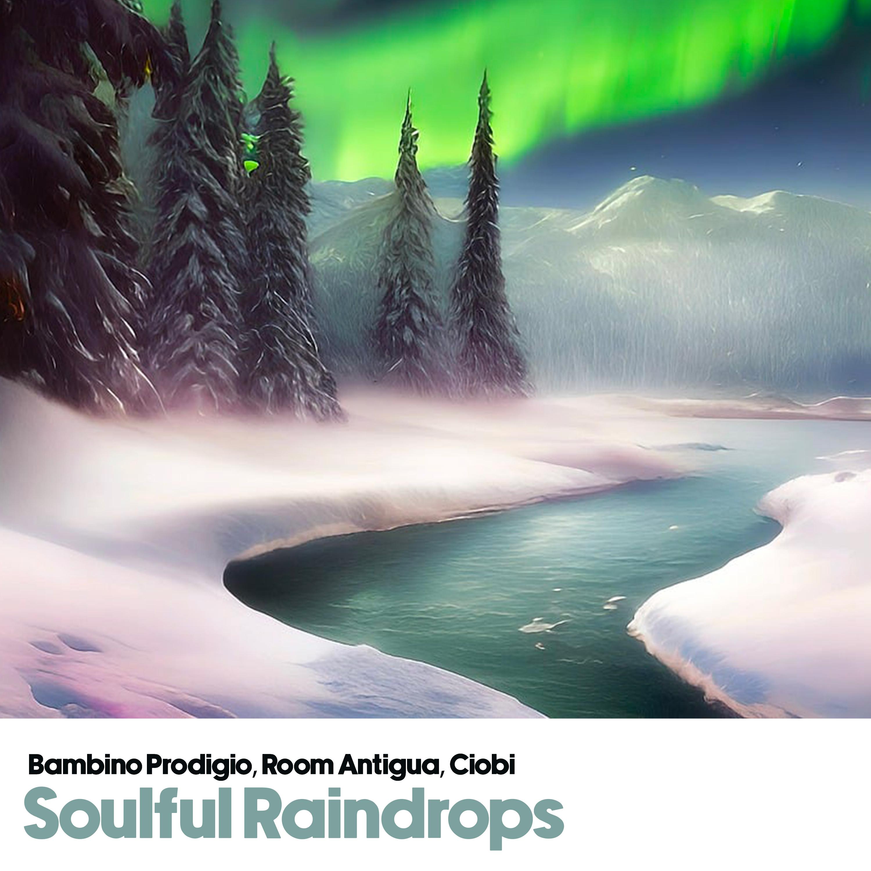 Постер альбома Soulful Raindrops