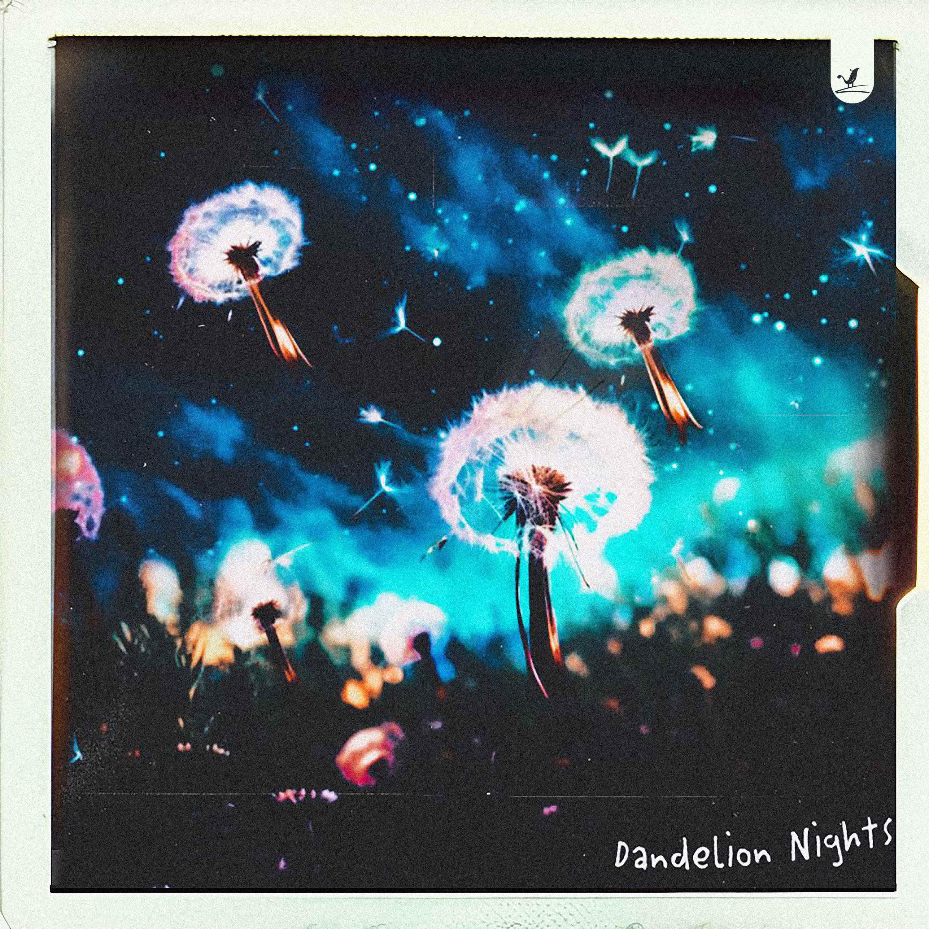 Постер альбома Dandelion Nights