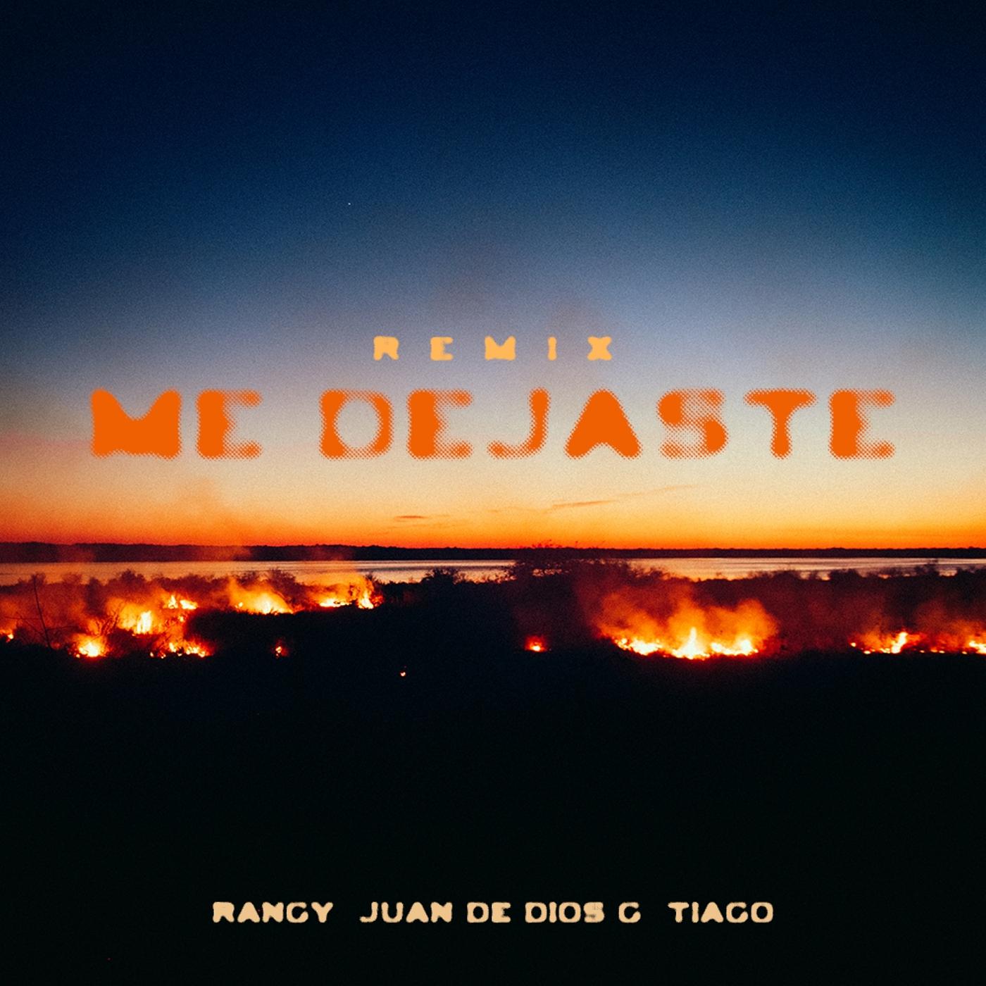 Постер альбома Me Dejaste (Remix)