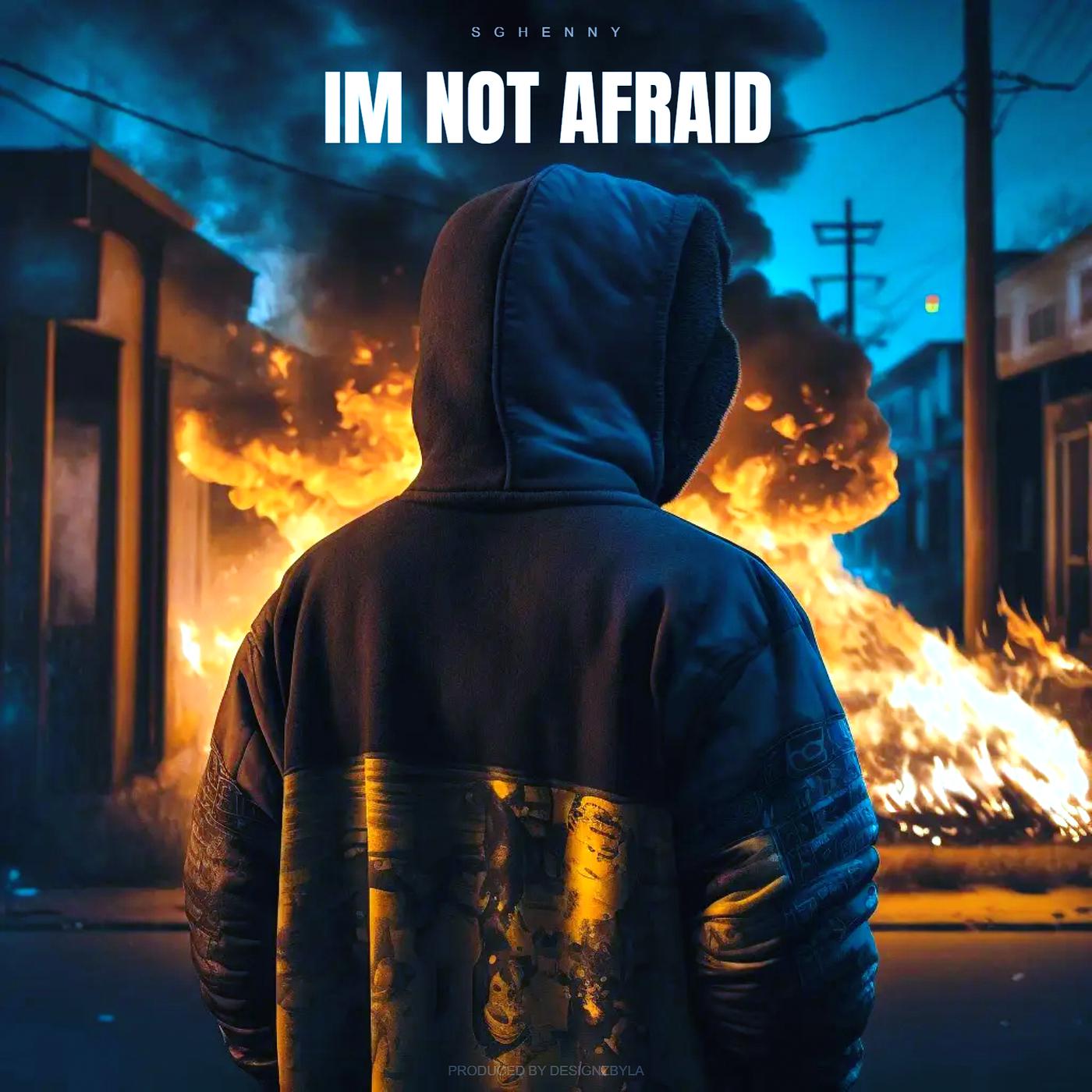 Постер альбома Im Not Afraid