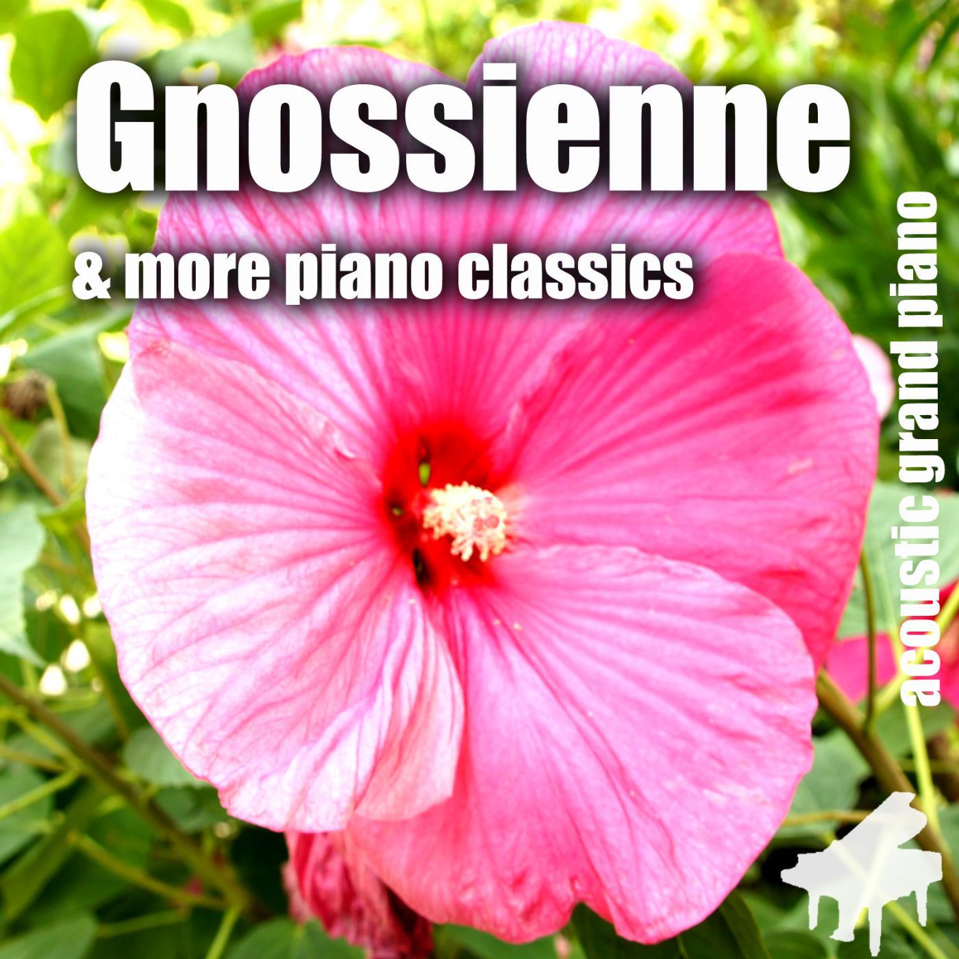 Постер альбома Gnossienne