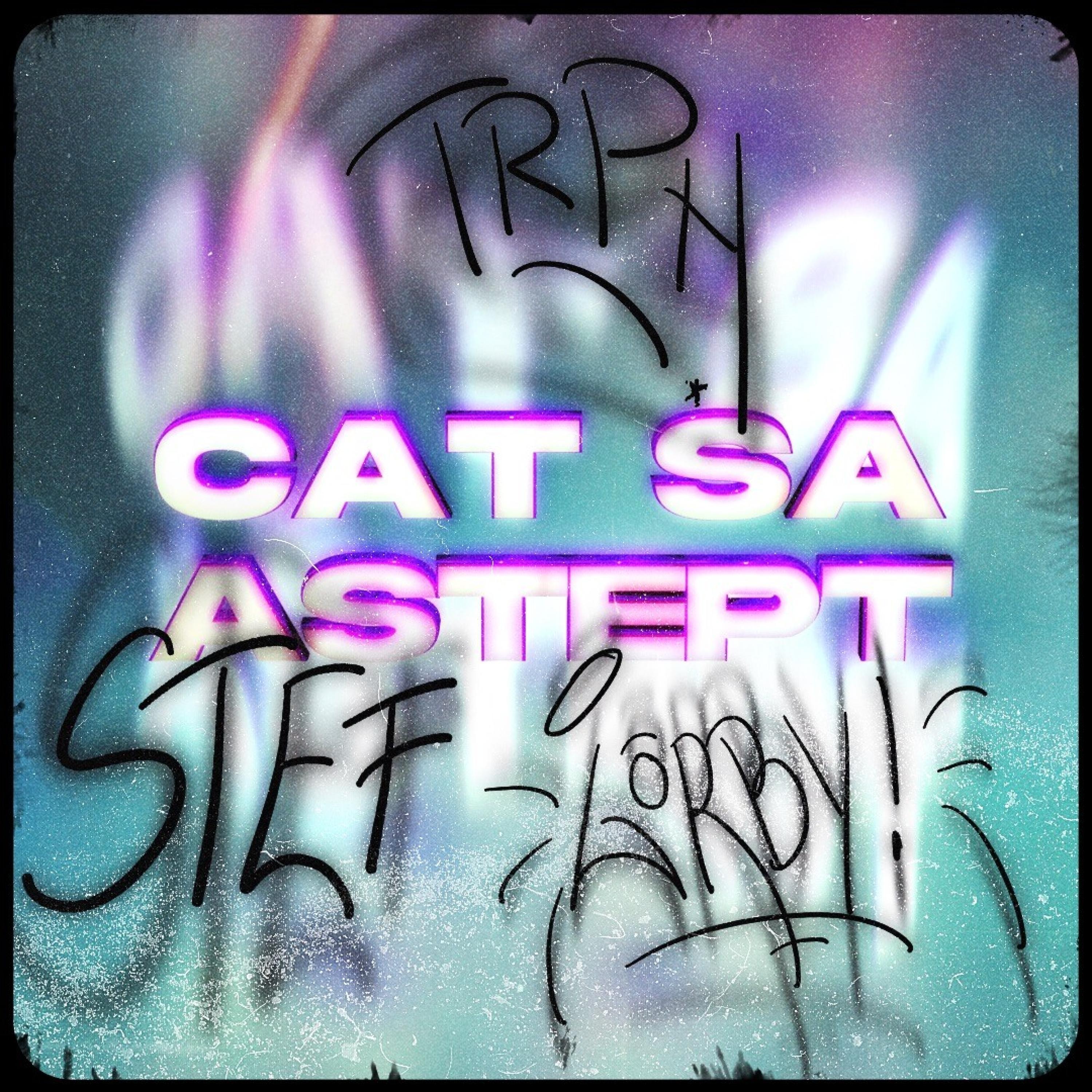 Постер альбома Cat Sa Astept