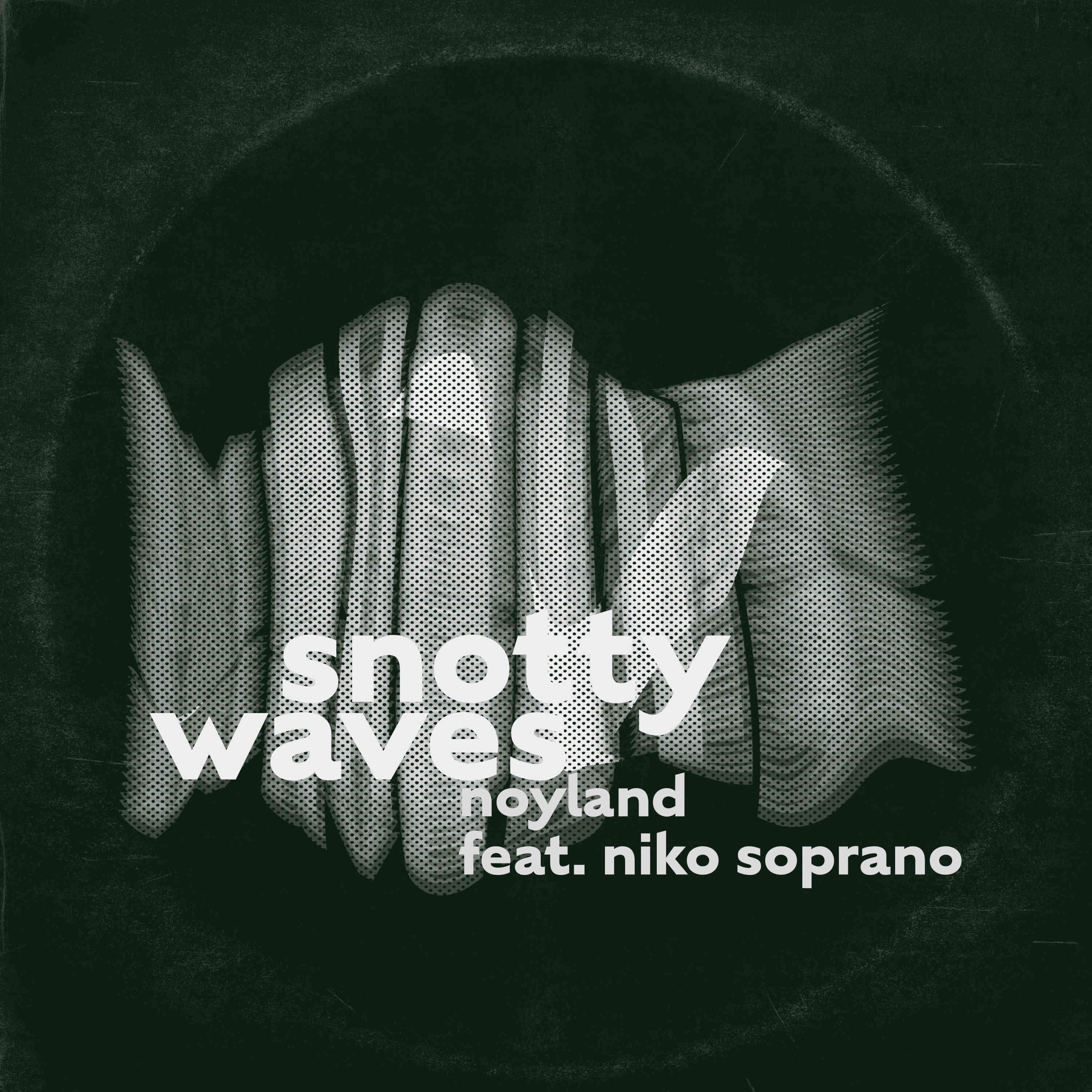 Постер альбома Snotty Waves