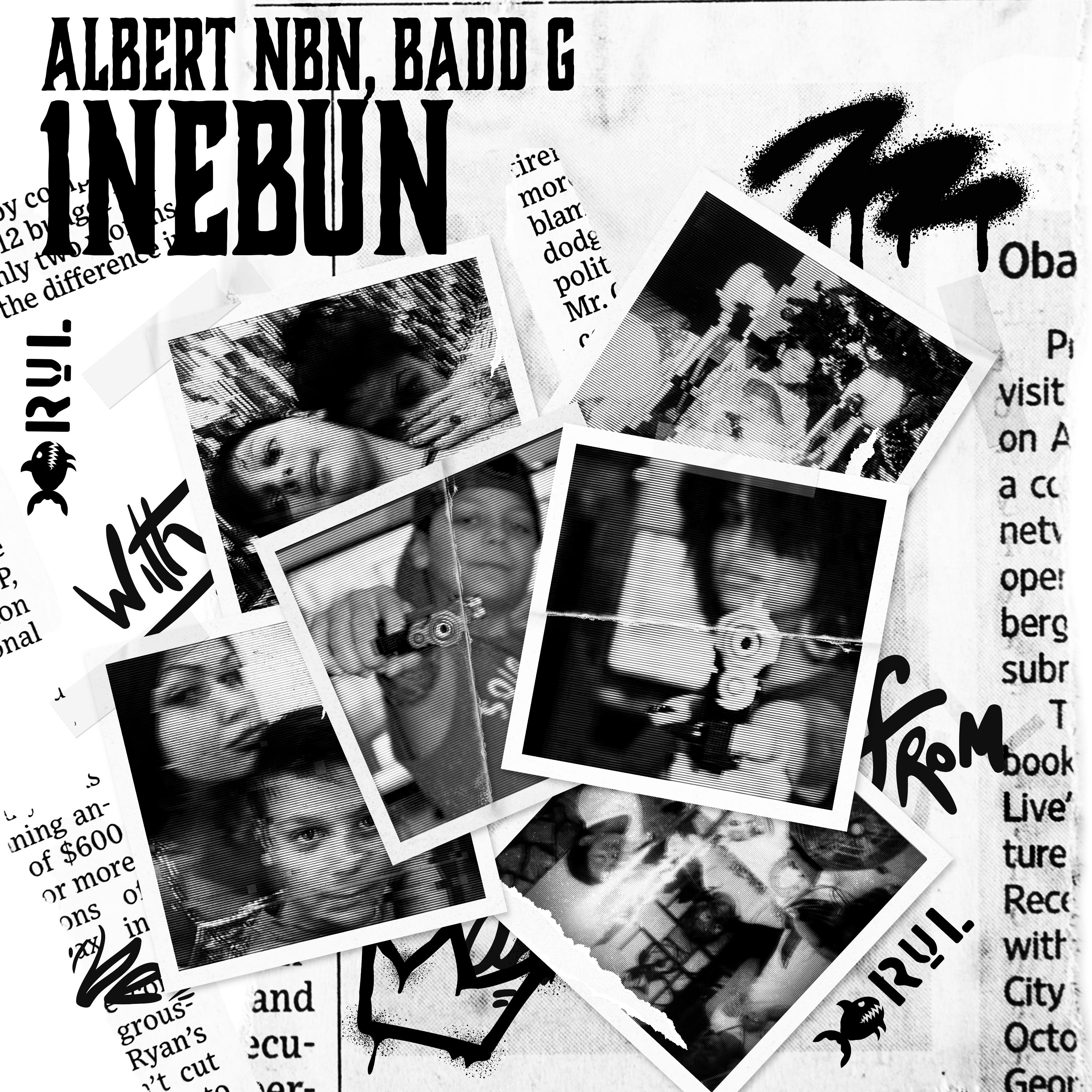 Постер альбома 1Nebun