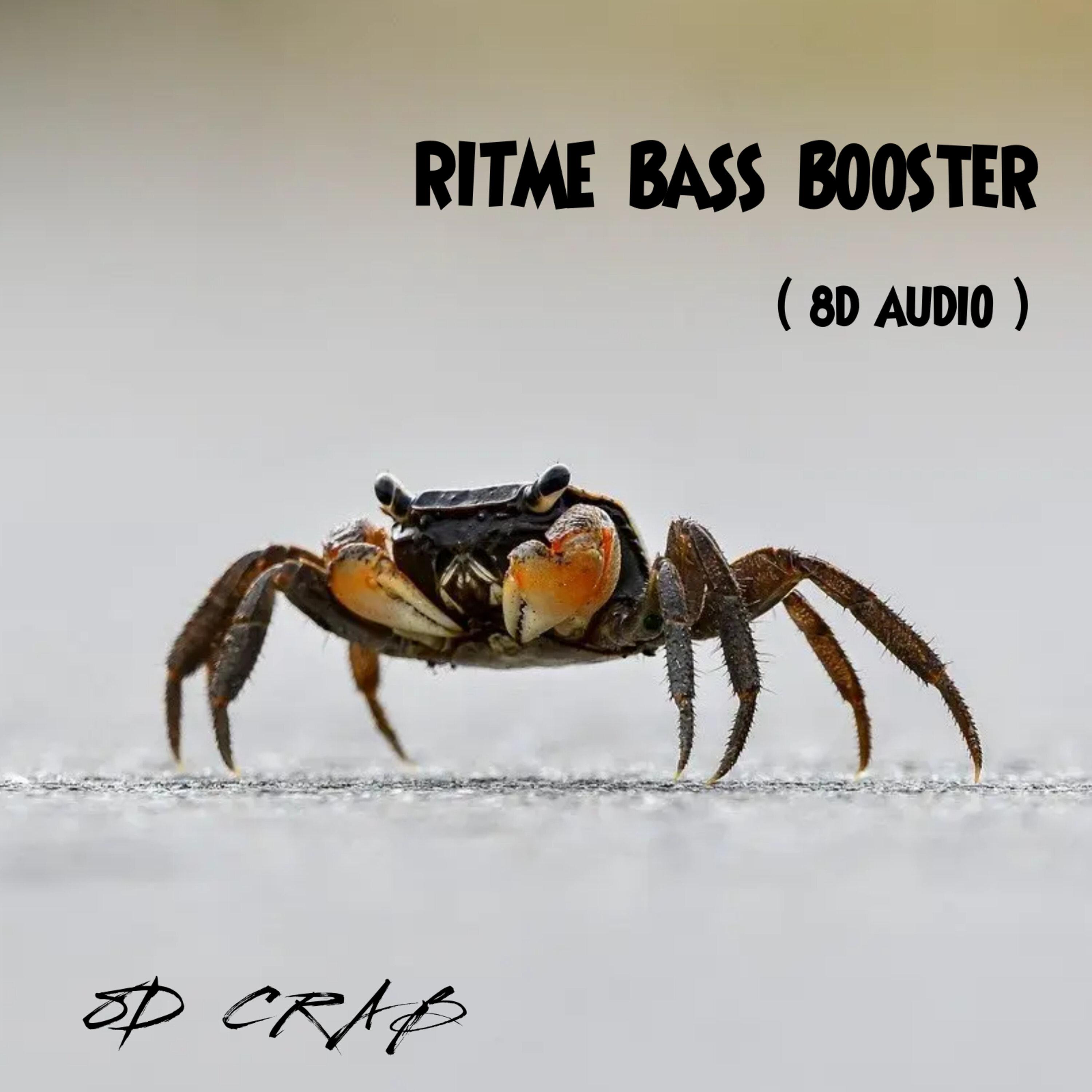 Постер альбома Ritme Bass Booster
