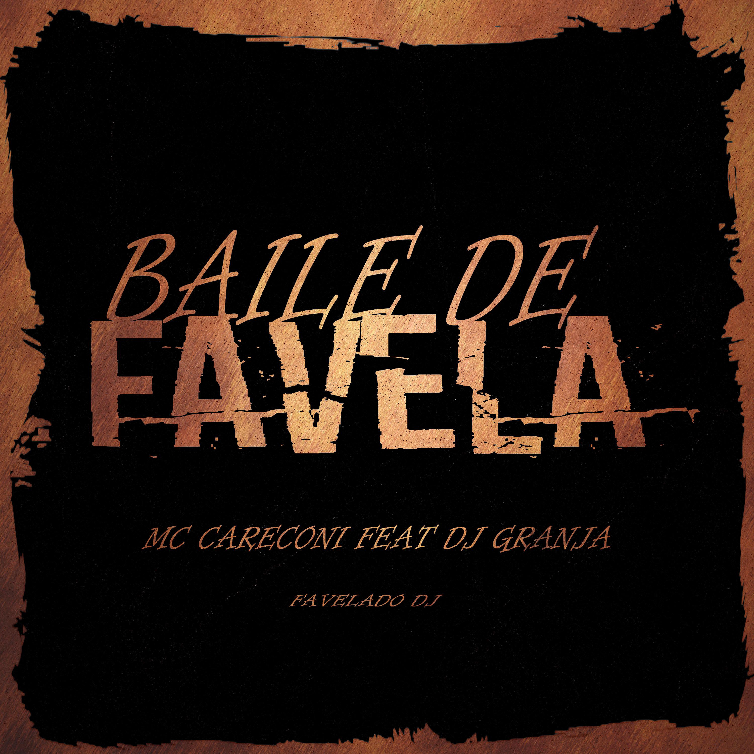 Постер альбома Baile de Favela