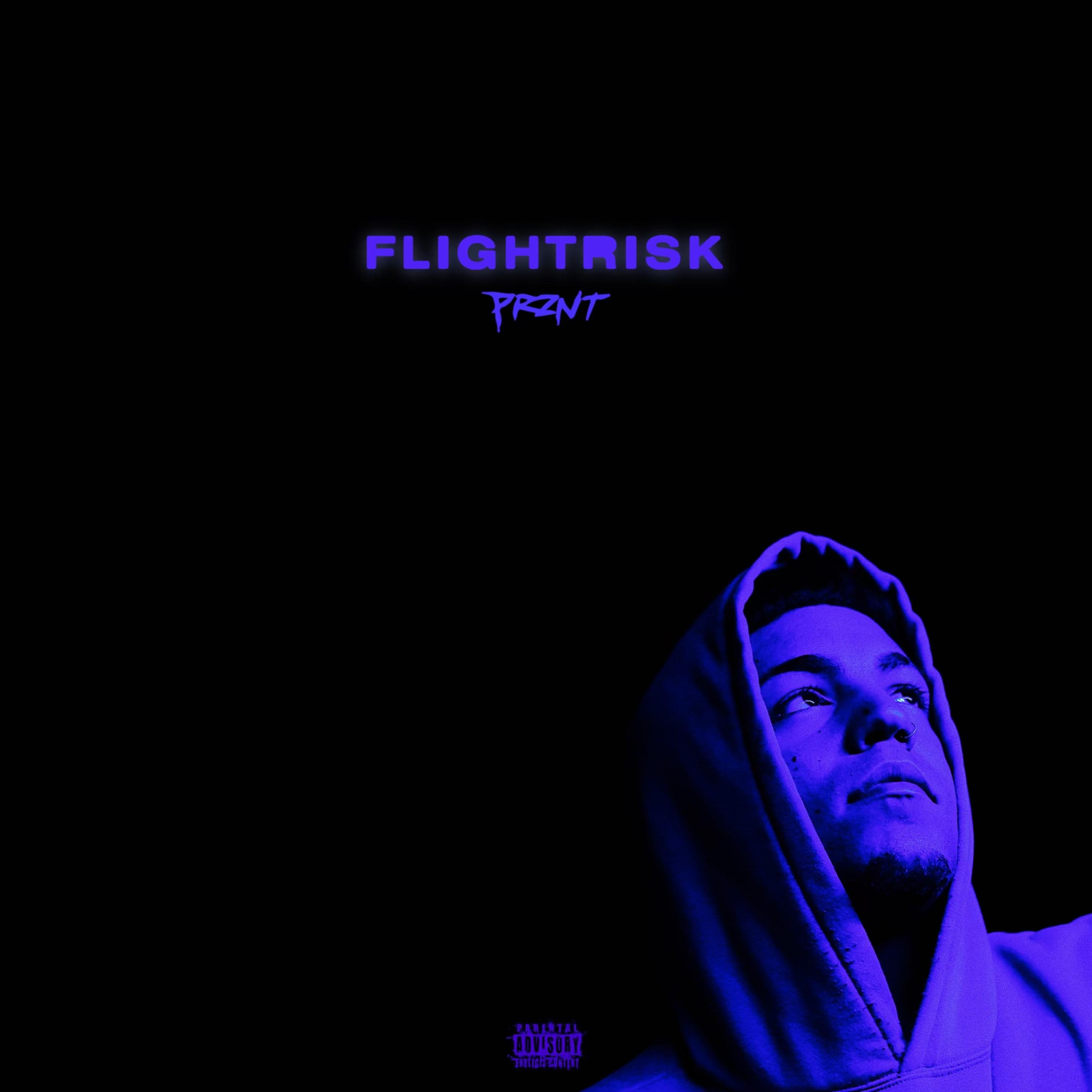 Постер альбома Flightrisk