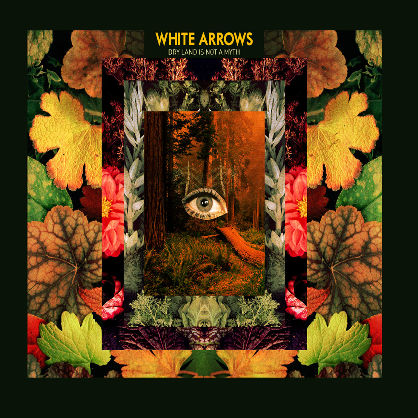 White Arrows - Fireworks Of The Sea