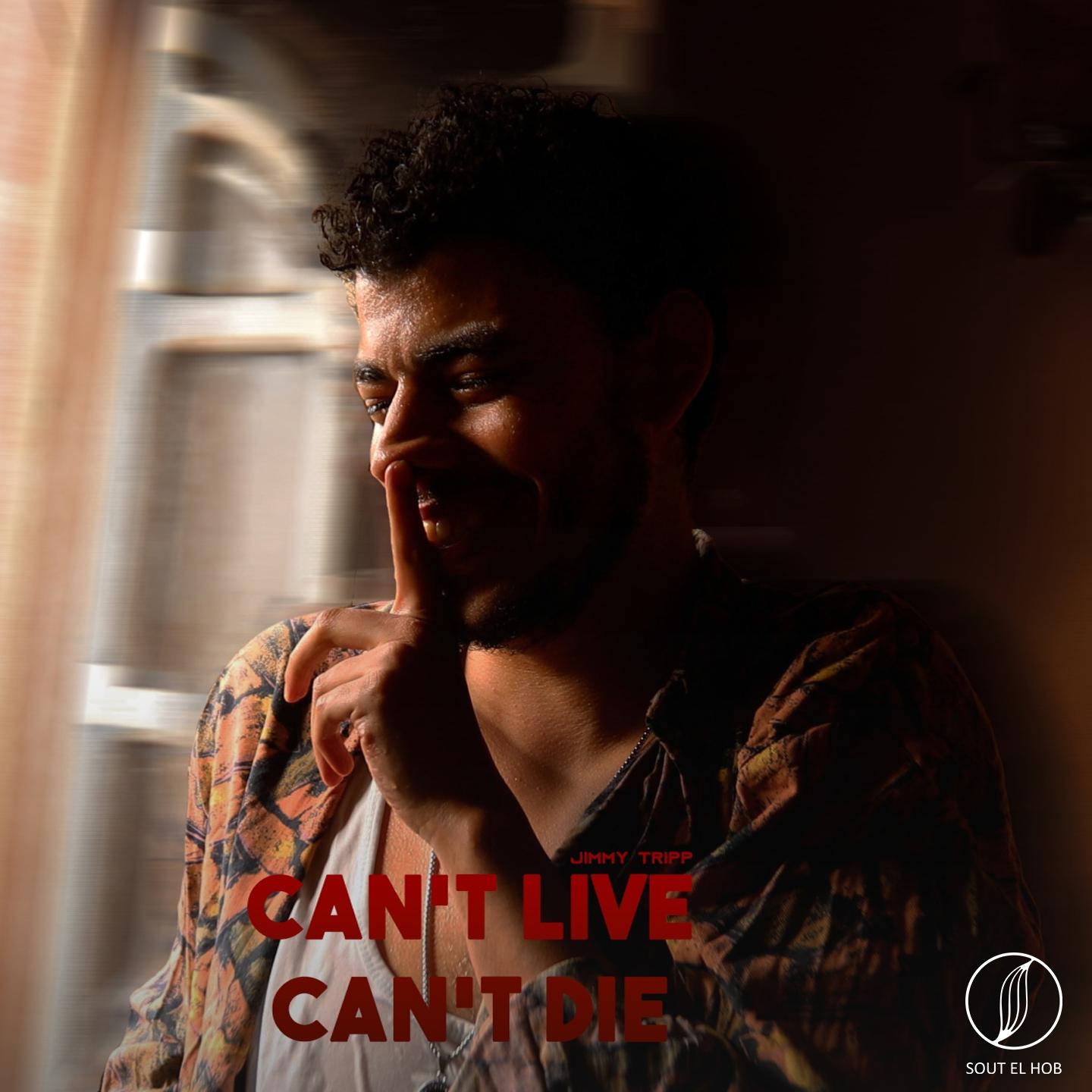 Постер альбома Can't Live Can't Die
