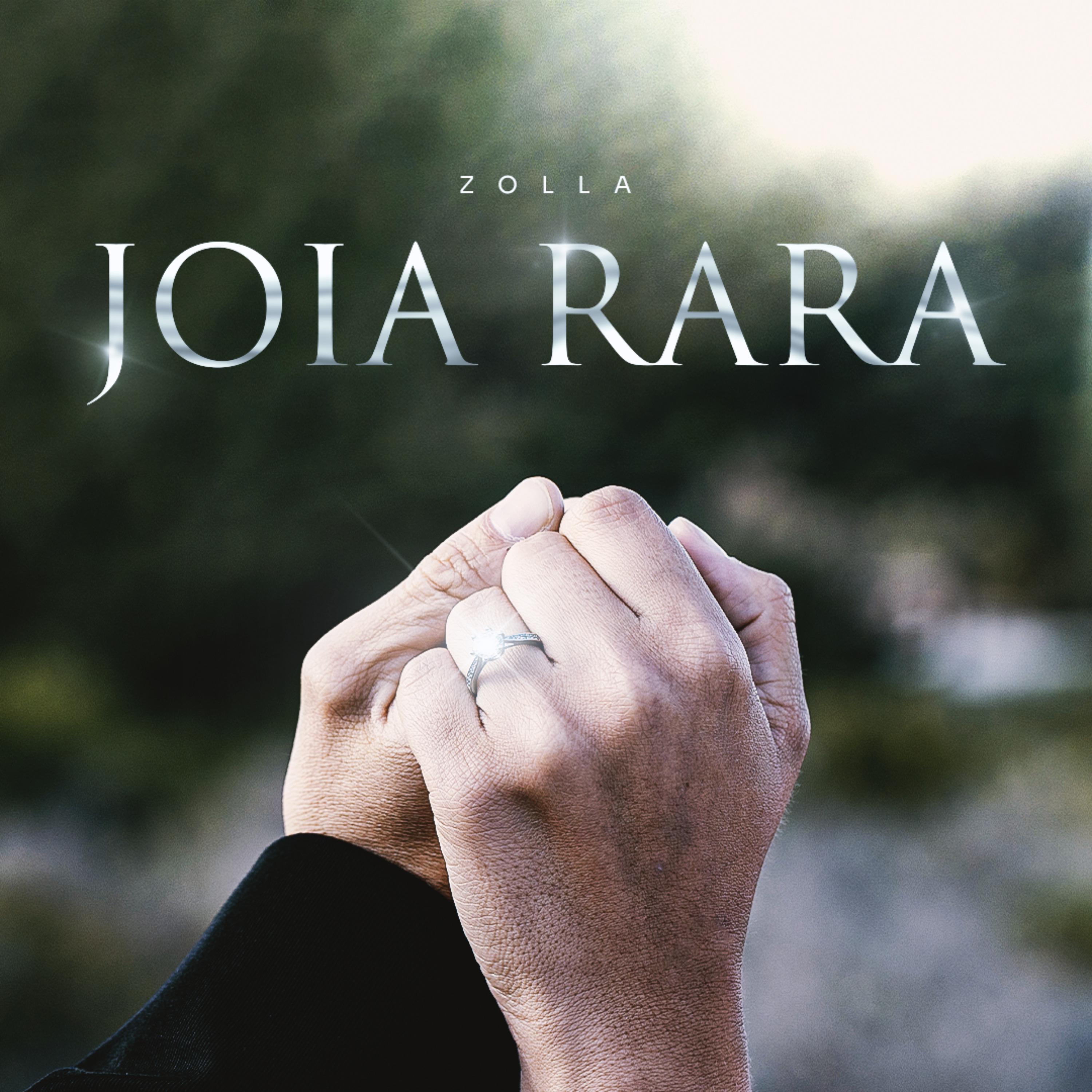 Постер альбома Joia Rara