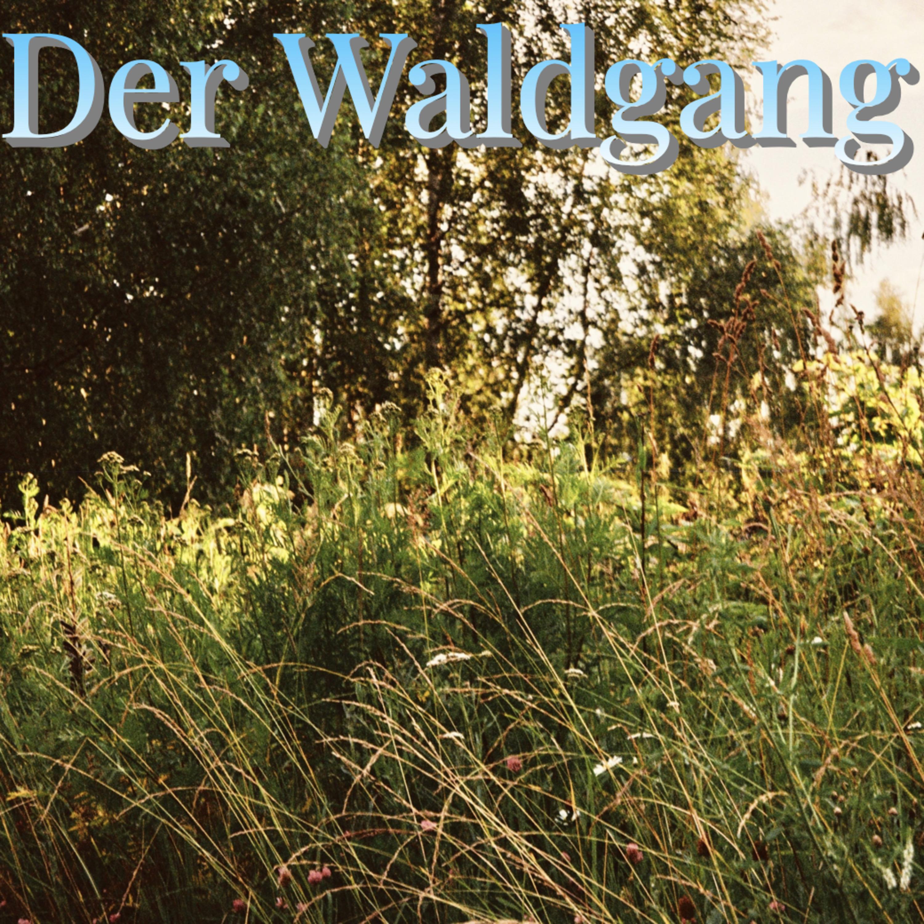 Постер альбома Der Waldgang