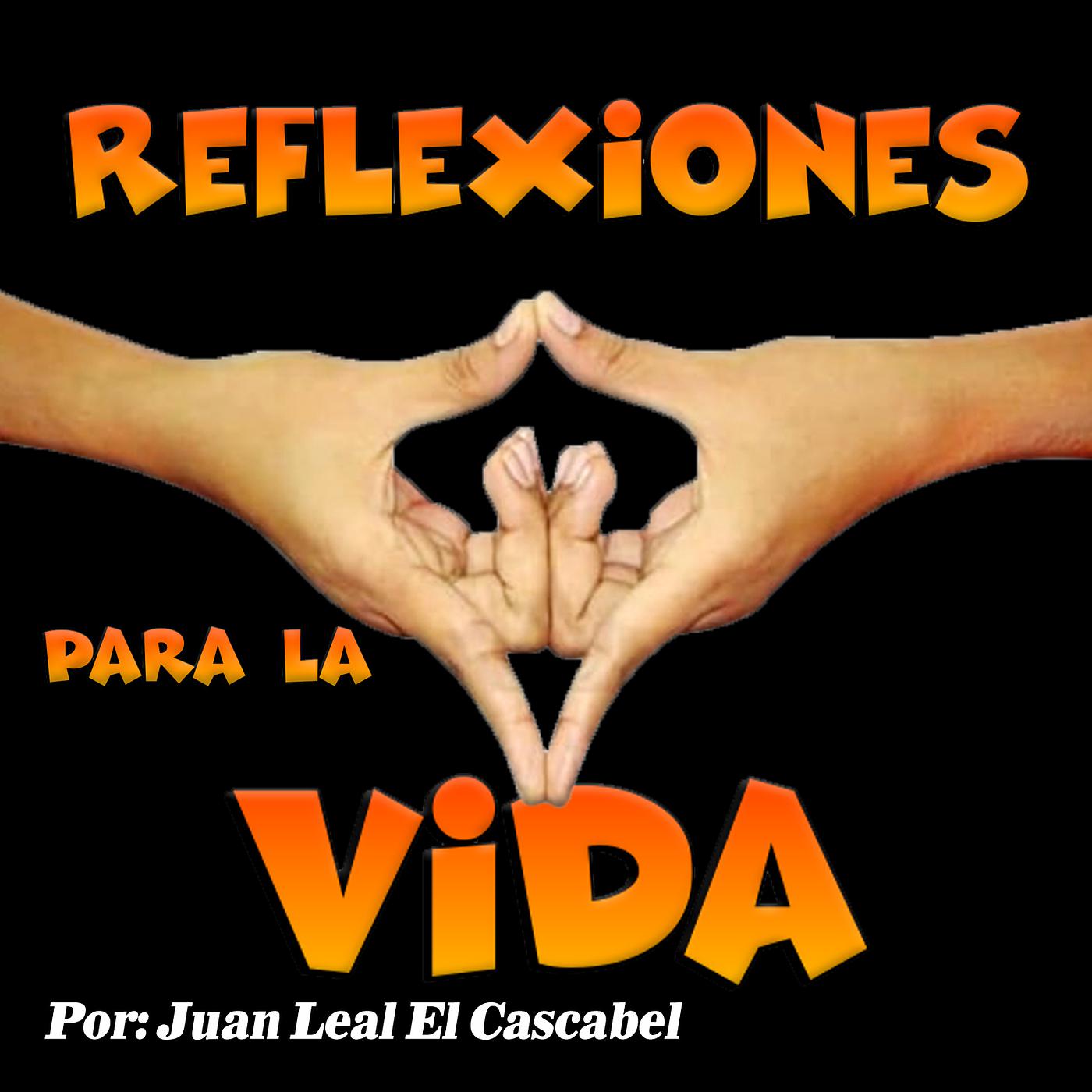 Постер альбома Reflexiones Para La Vida